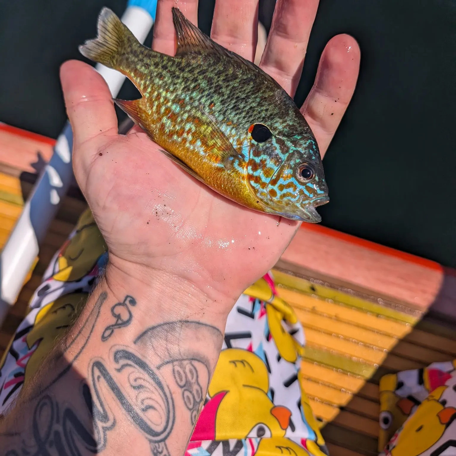 catch
