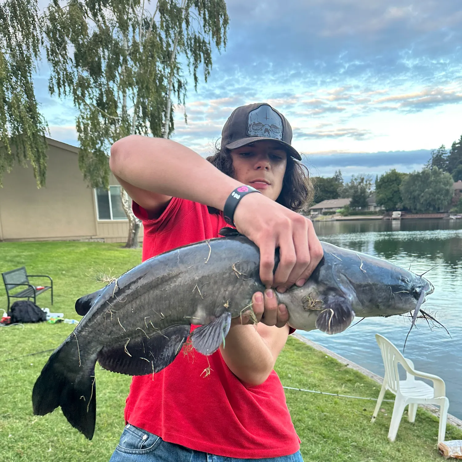 Channel catfish caught on Fishbrain