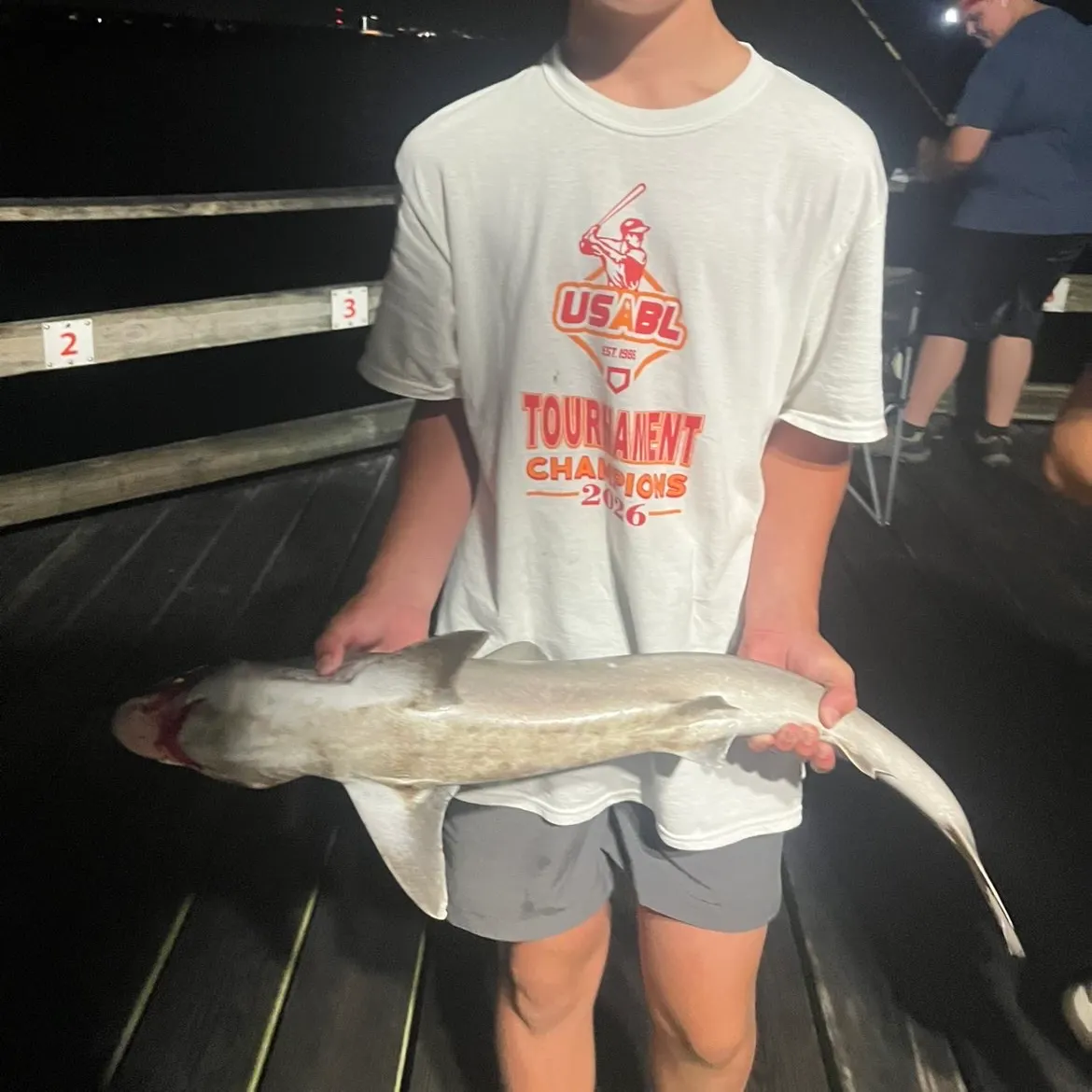 The most recent Finetooth shark catches on Fishbrain