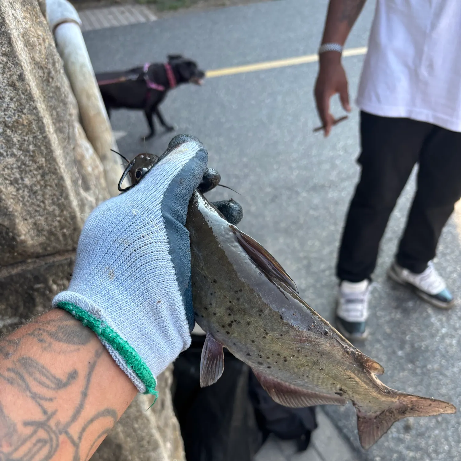 catch
