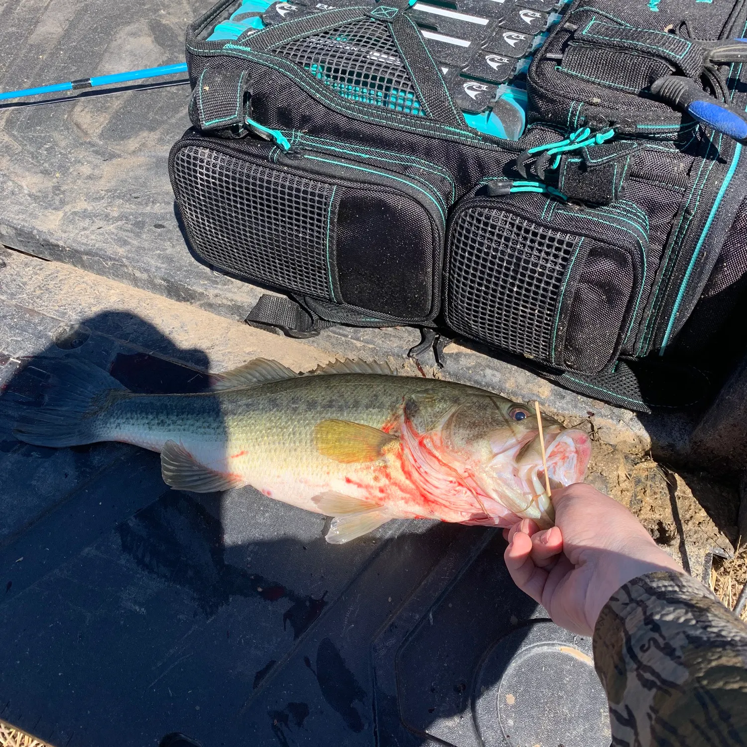catch