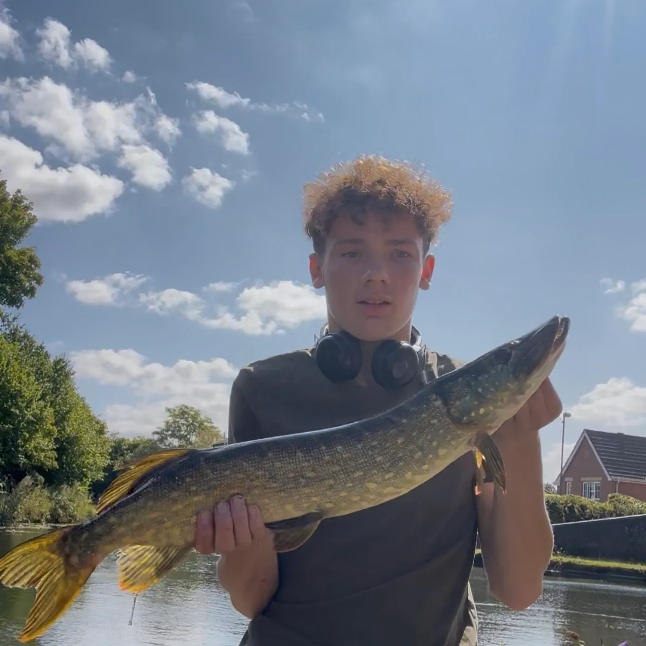 Northern pike caught on Fishbrain