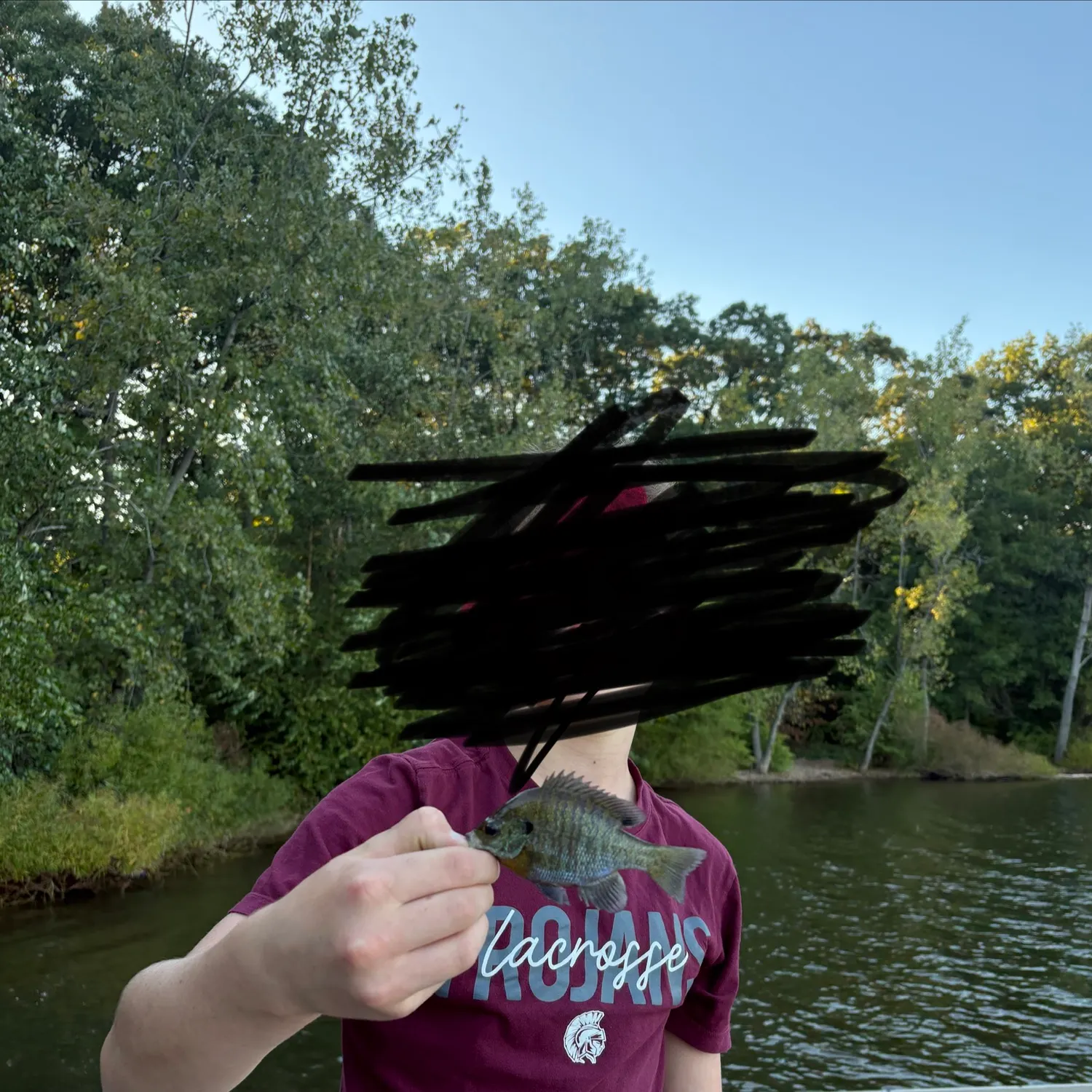 Bluegill caught on Fishbrain
