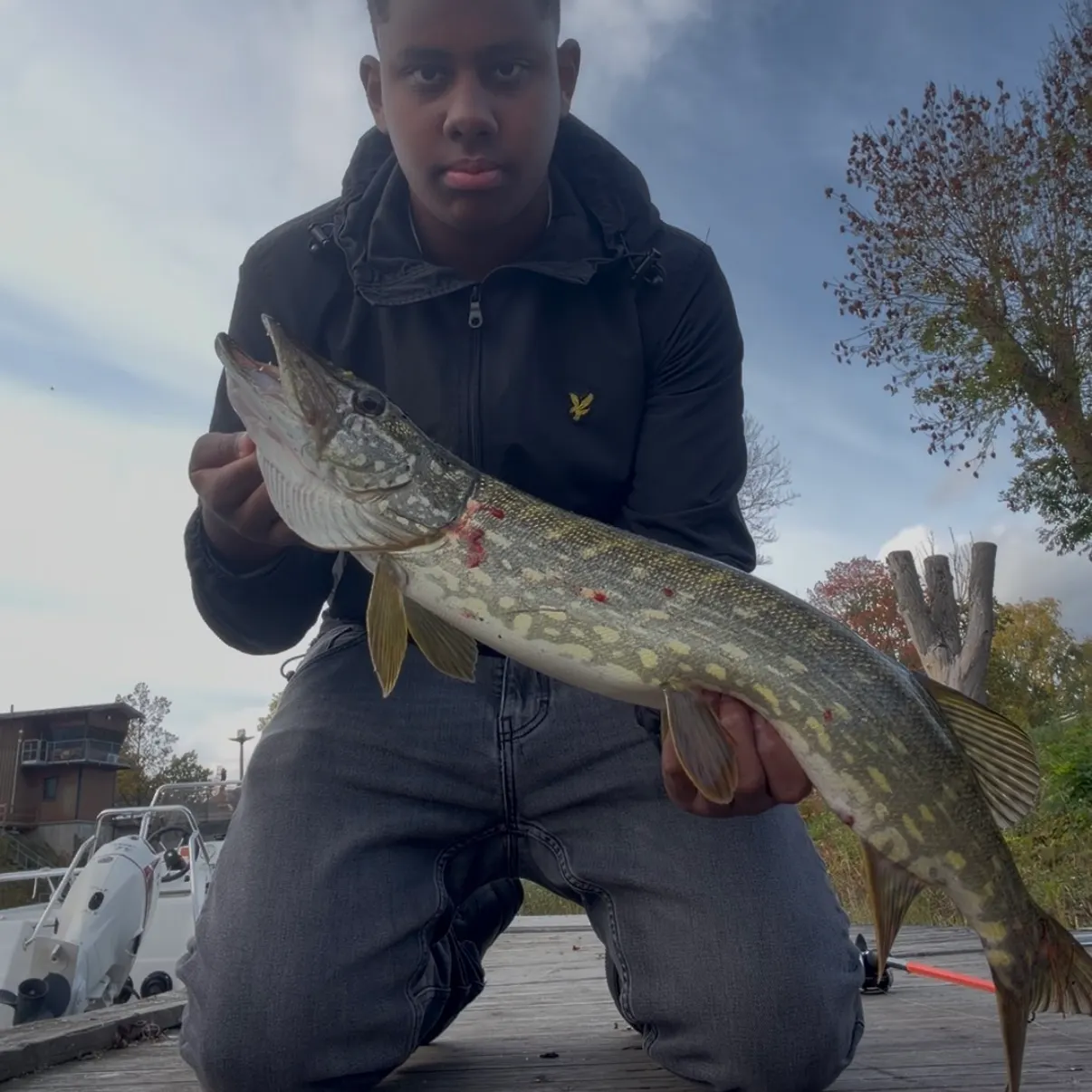 Northern pike caught on Fishbrain