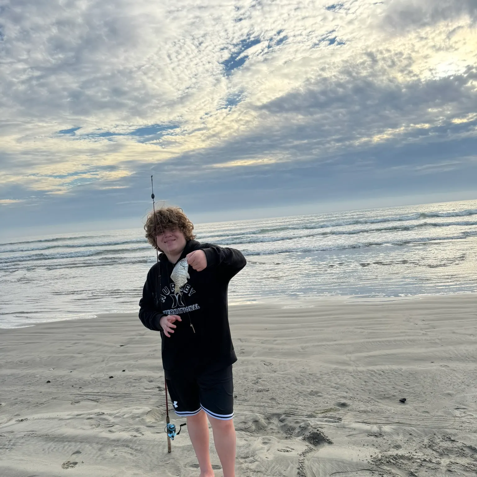 The most recent Calico surfperch catches on Fishbrain