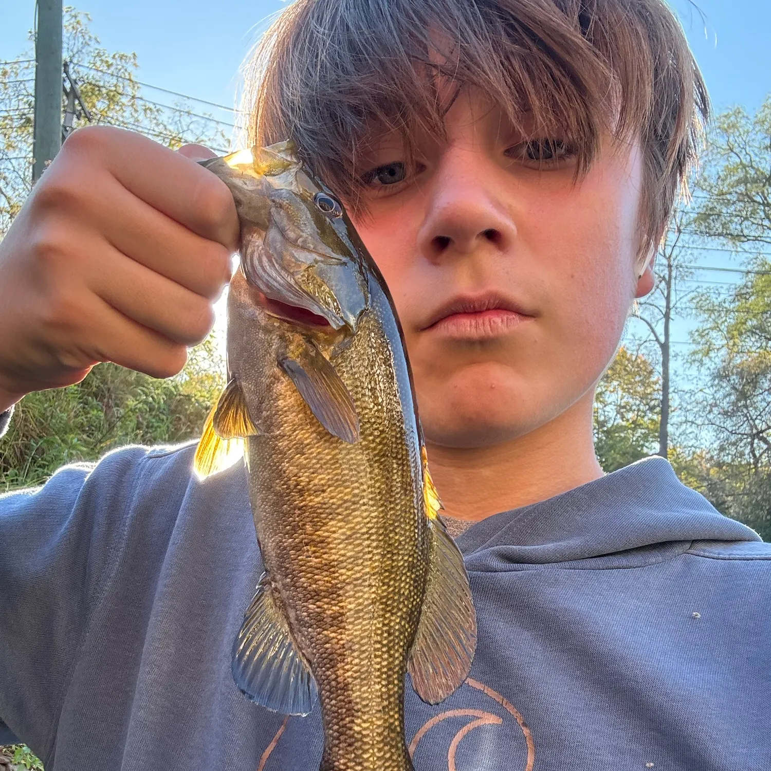 Smallmouth bass caught on Fishbrain