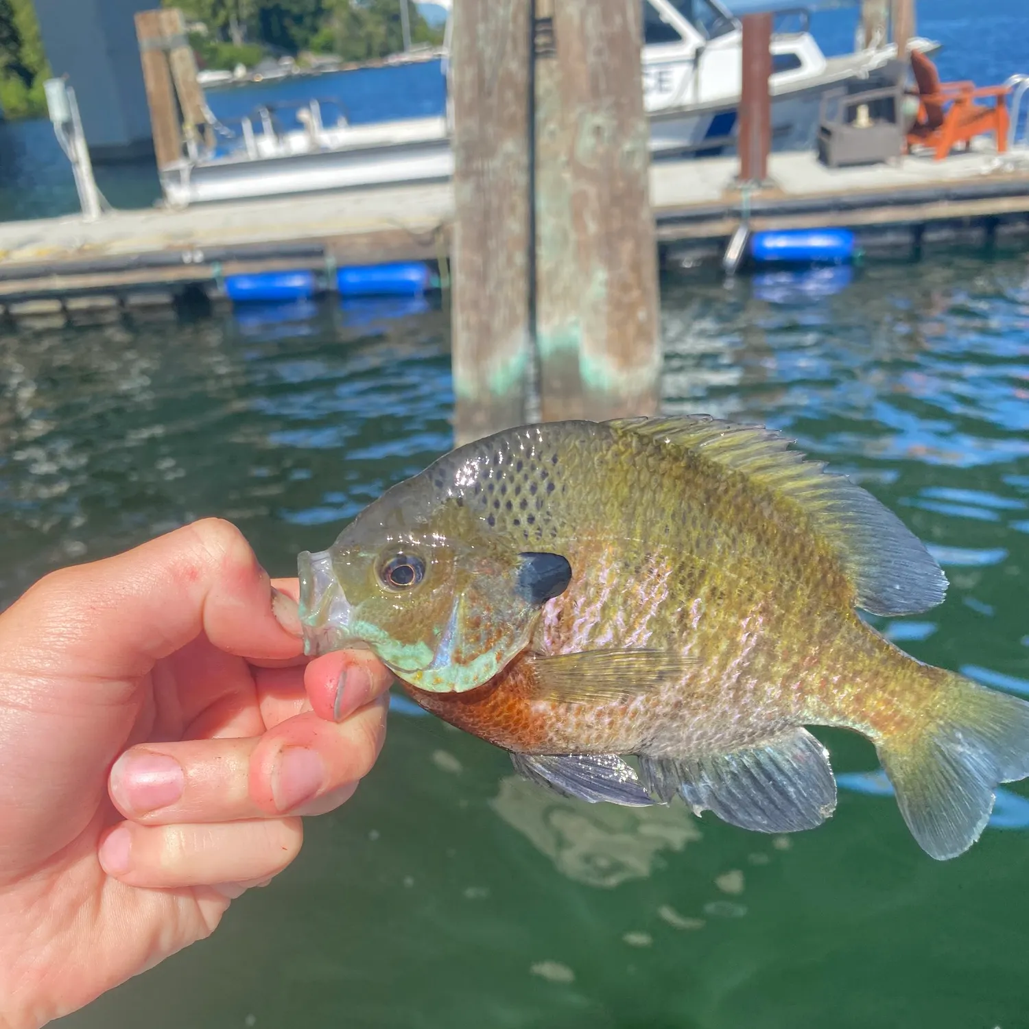 catch