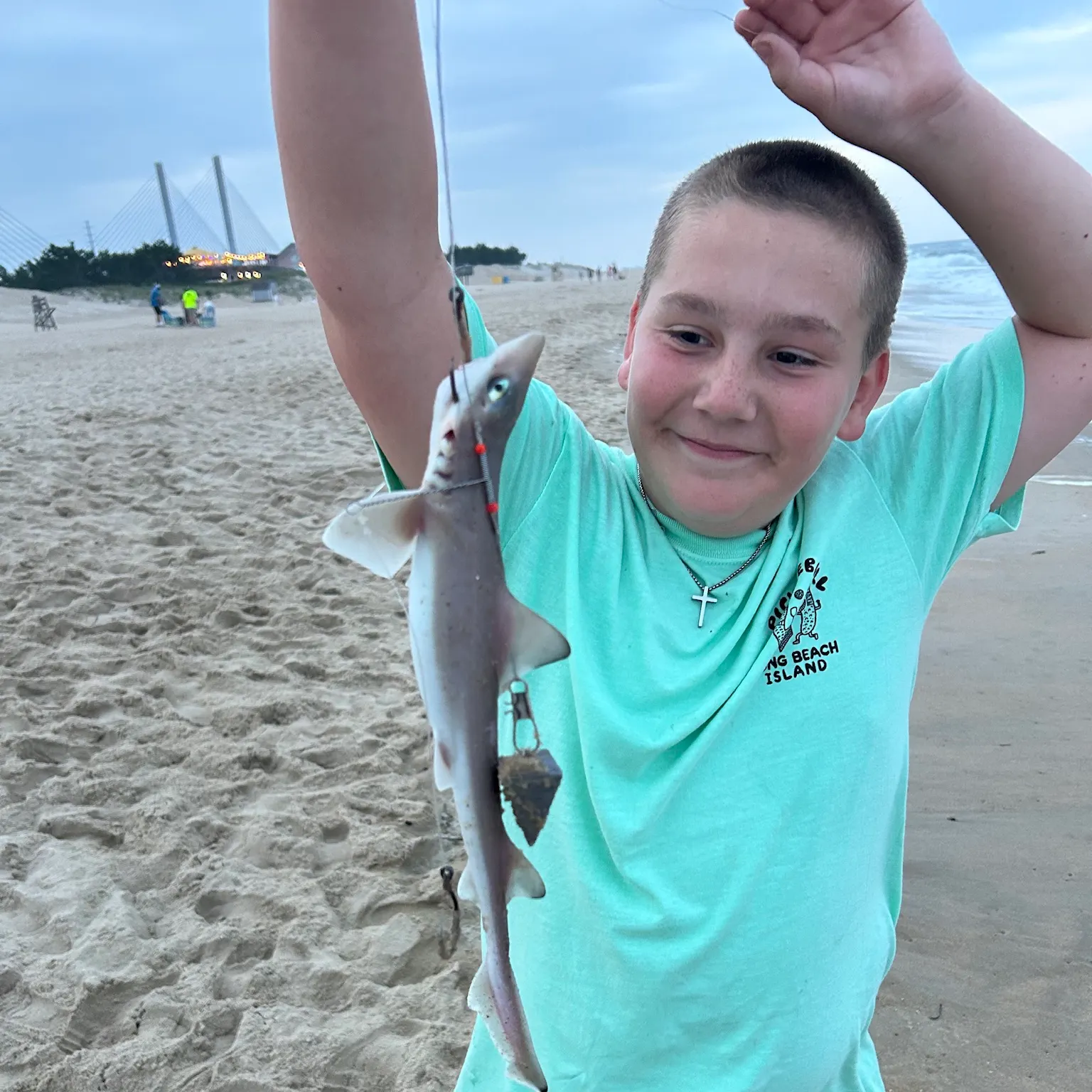 The most recent Piked dogfish catches on Fishbrain