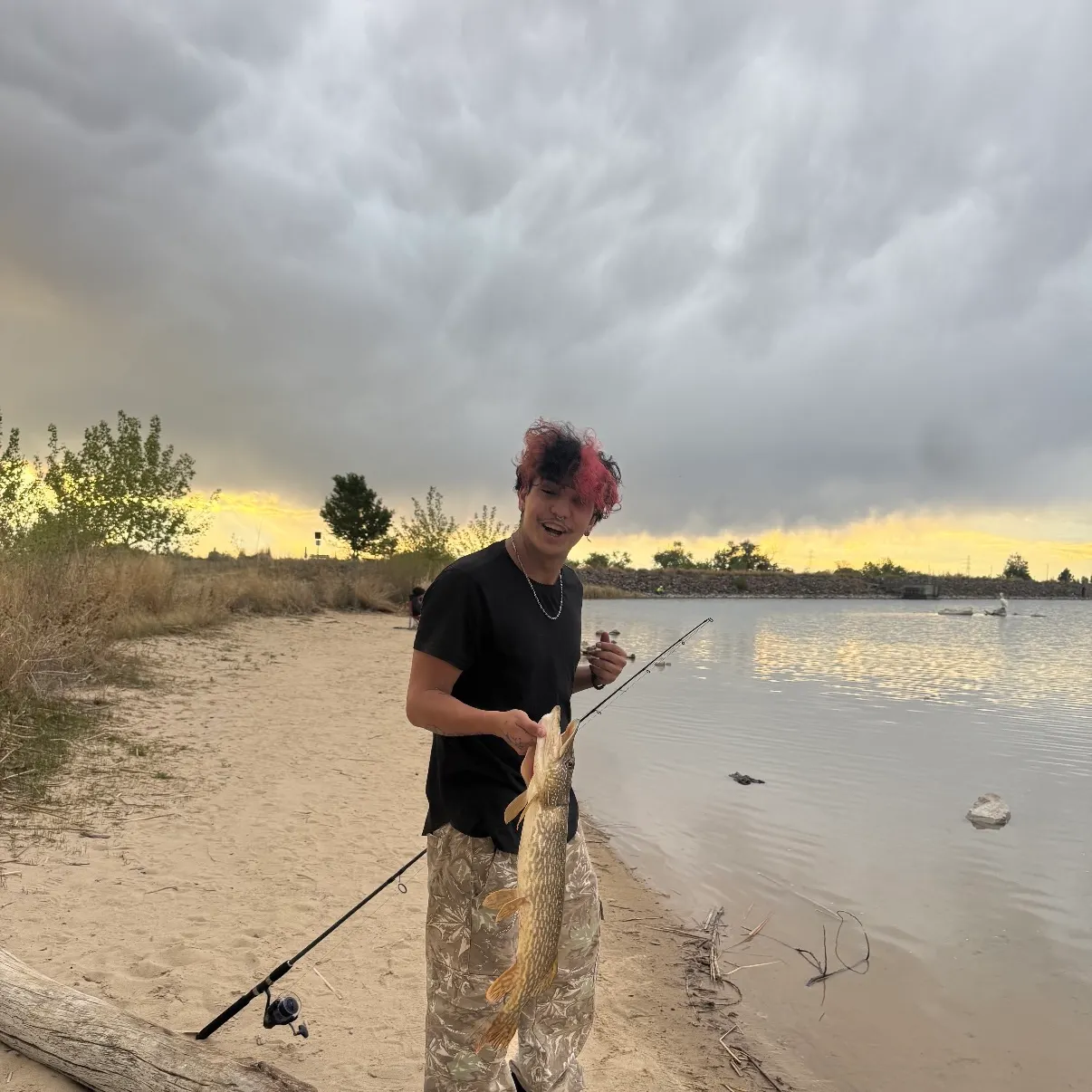 The most recent Northern pike catches on Fishbrain
