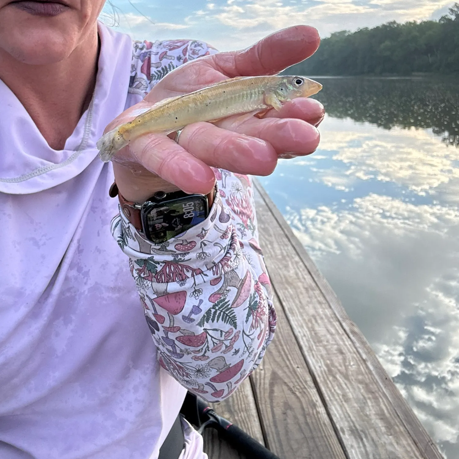 Common logperch caught on Fishbrain