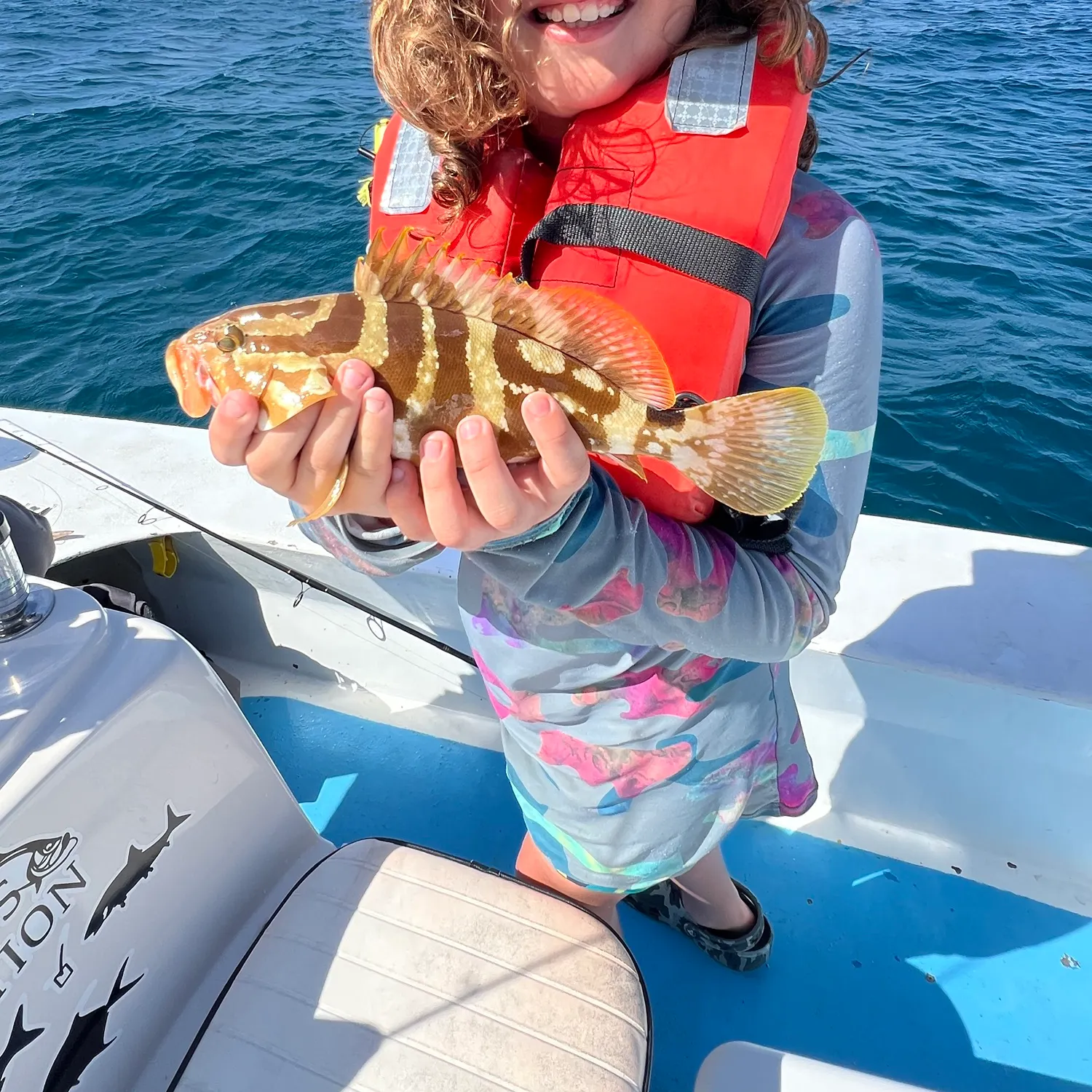 The most recent Nassau grouper catches on Fishbrain