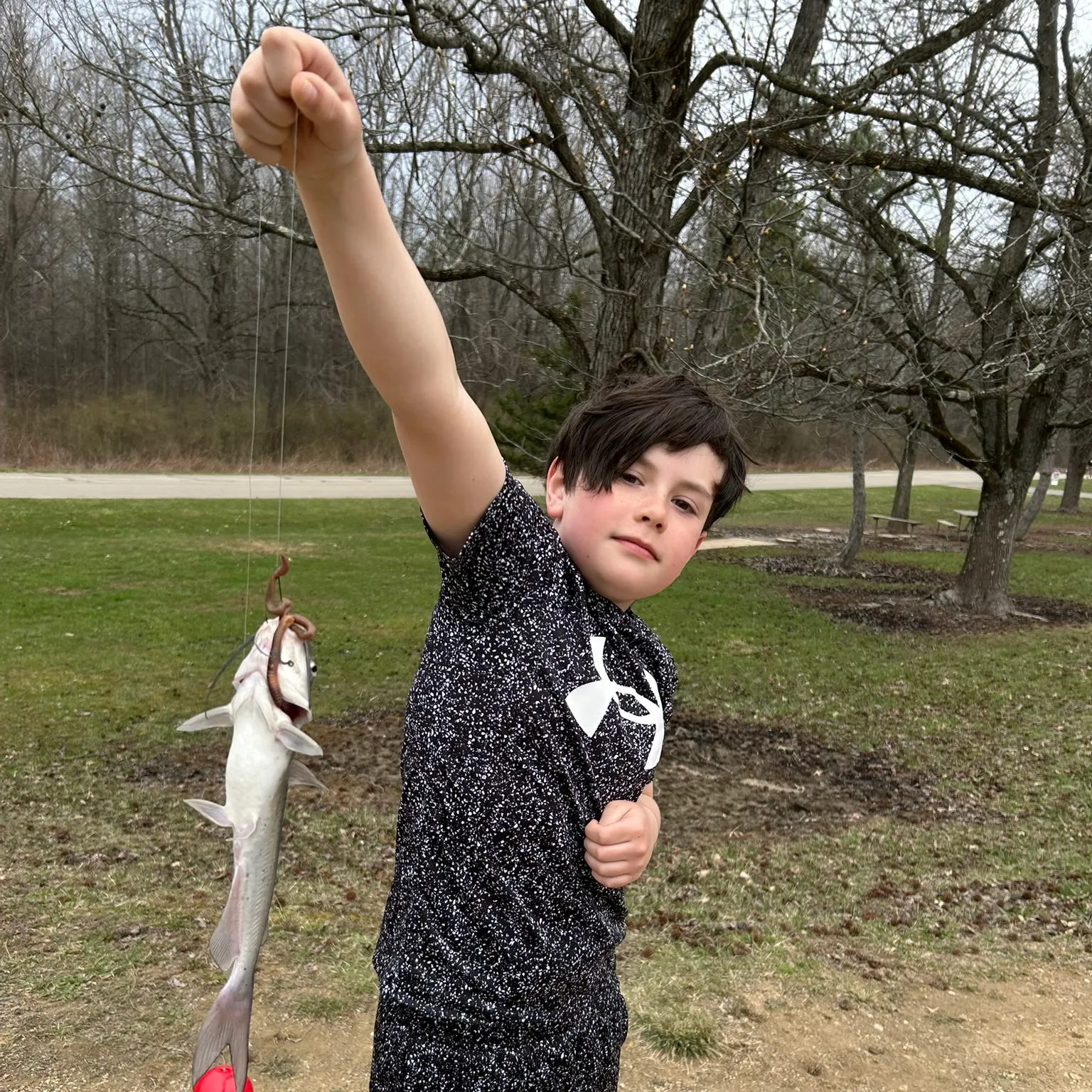 Channel catfish caught on Fishbrain
