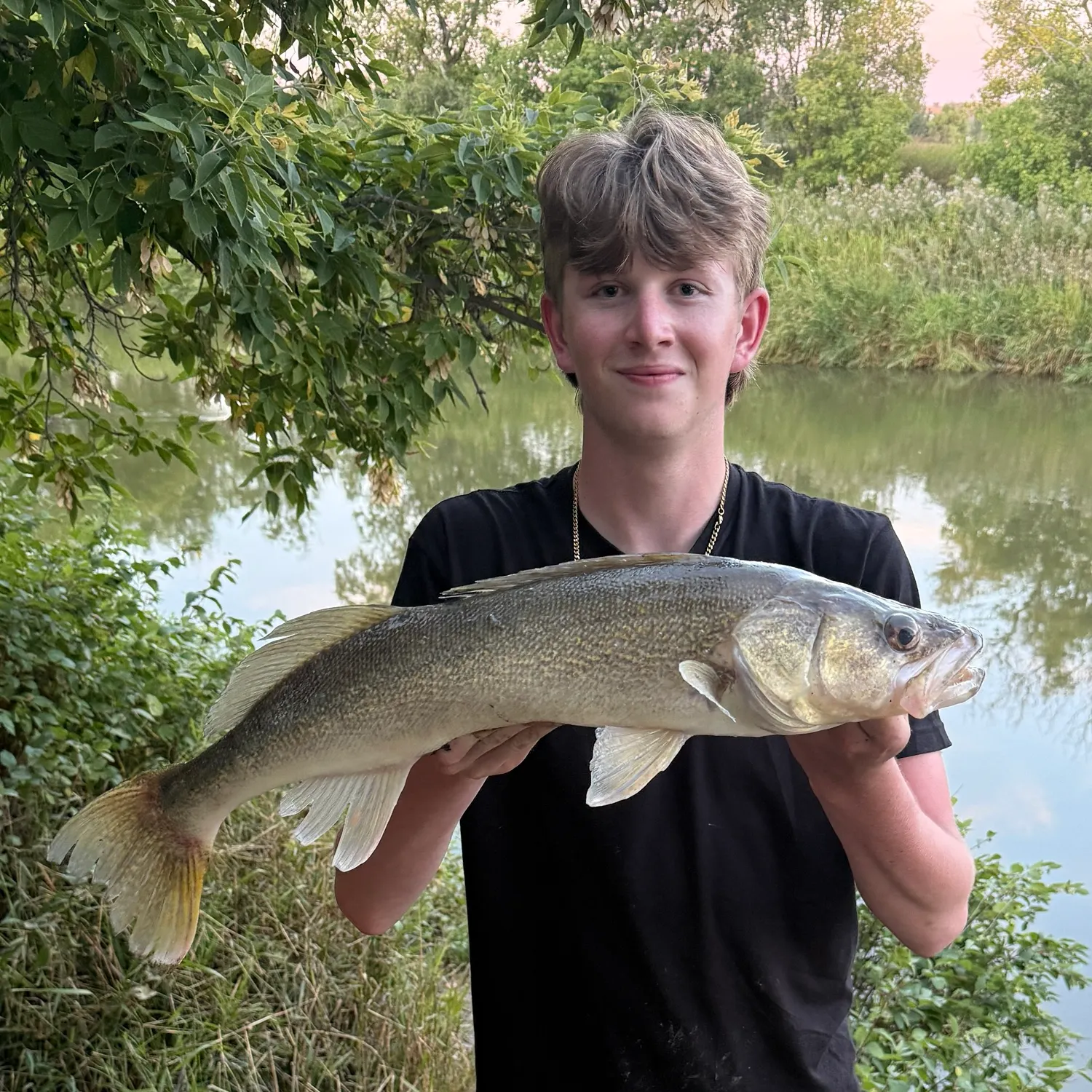 Walleye caught on Fishbrain