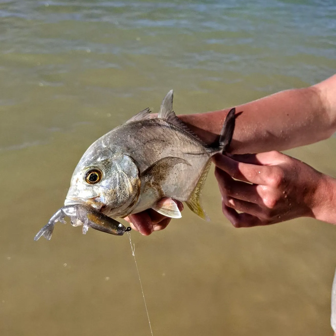 Giant trevally caught on Fishbrain