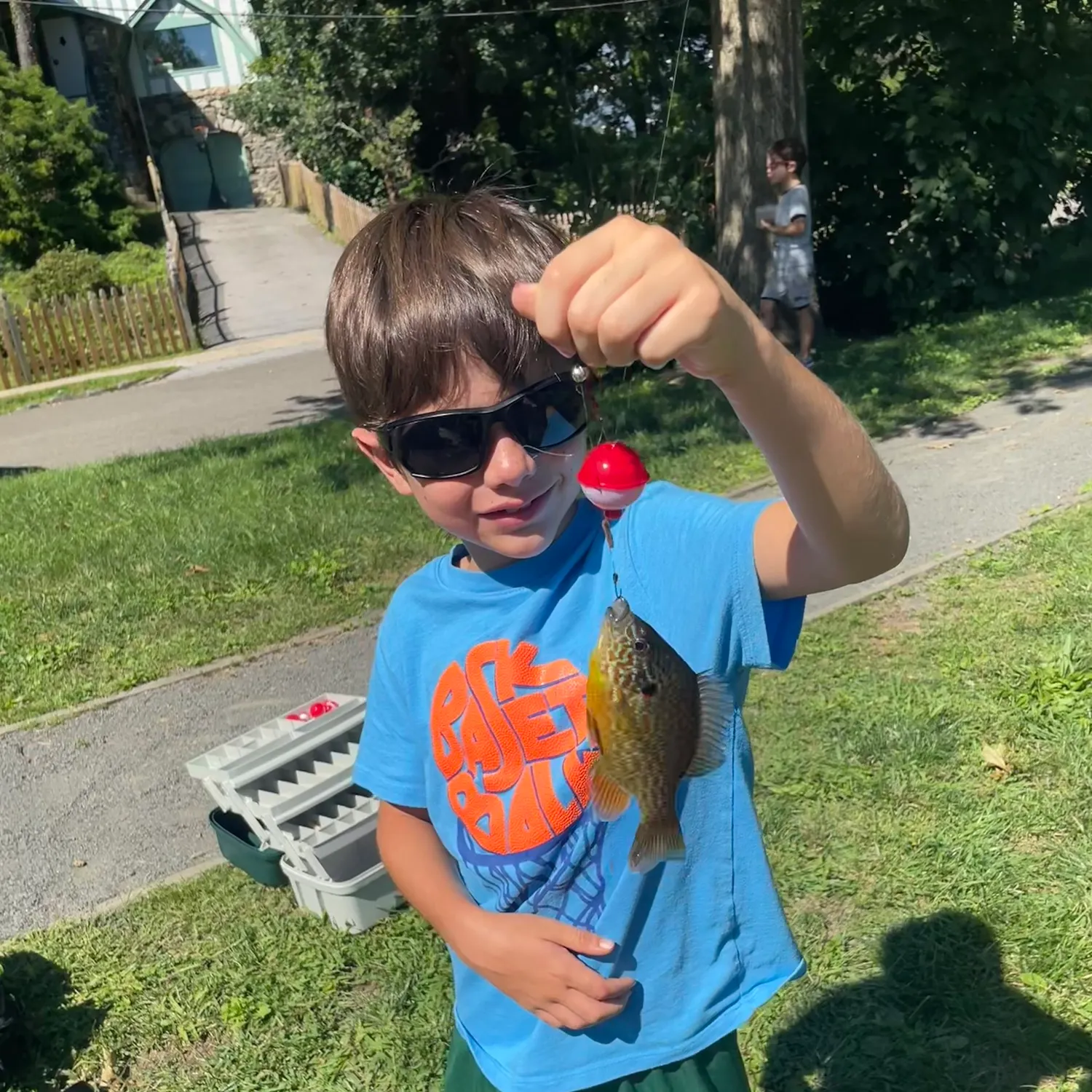 Pumpkinseed caught on Fishbrain