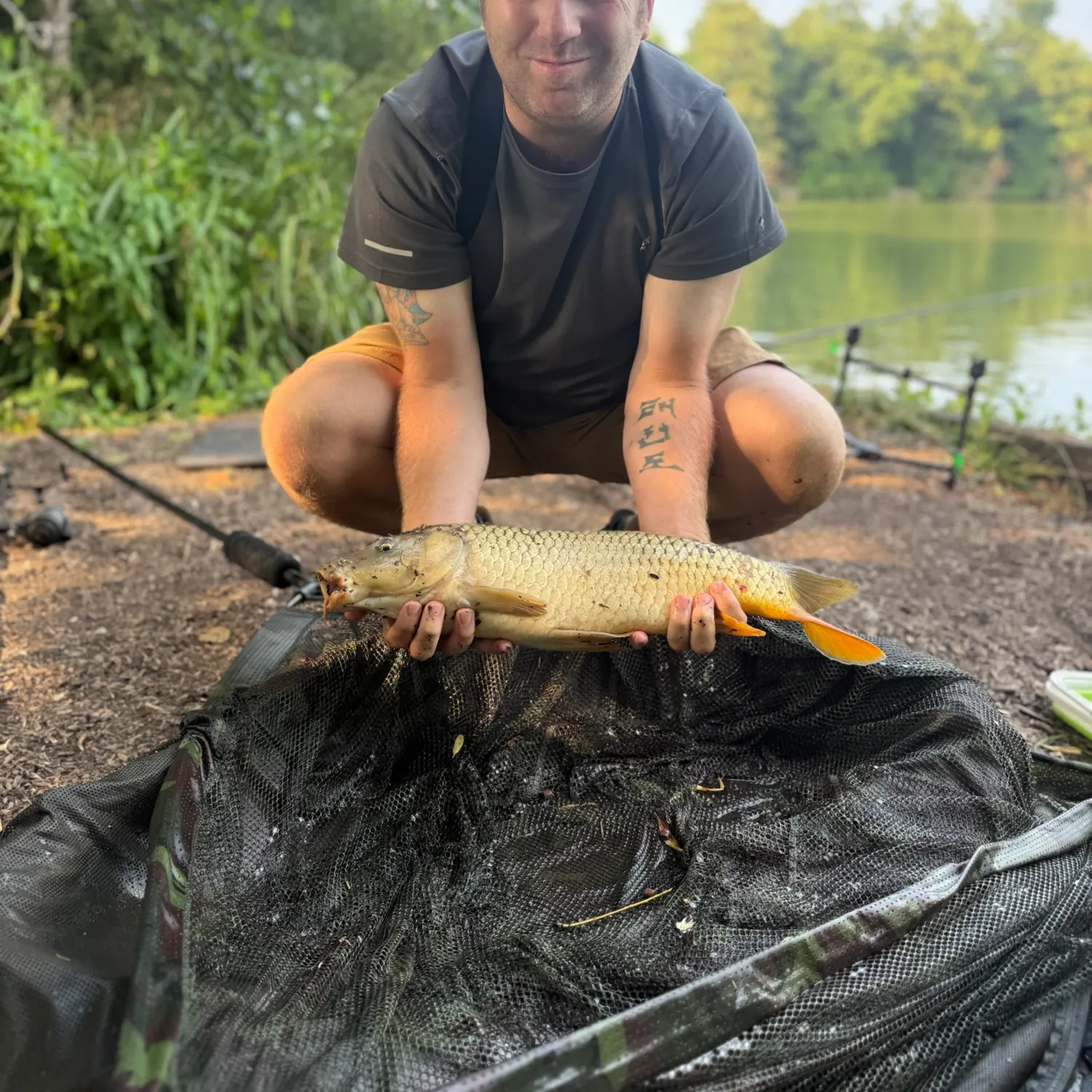 Common carp caught on Fishbrain