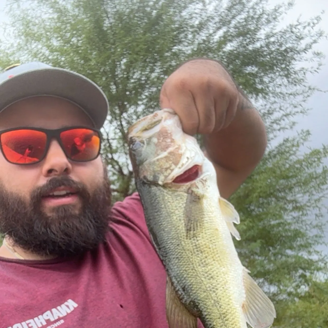Largemouth bass caught on Fishbrain