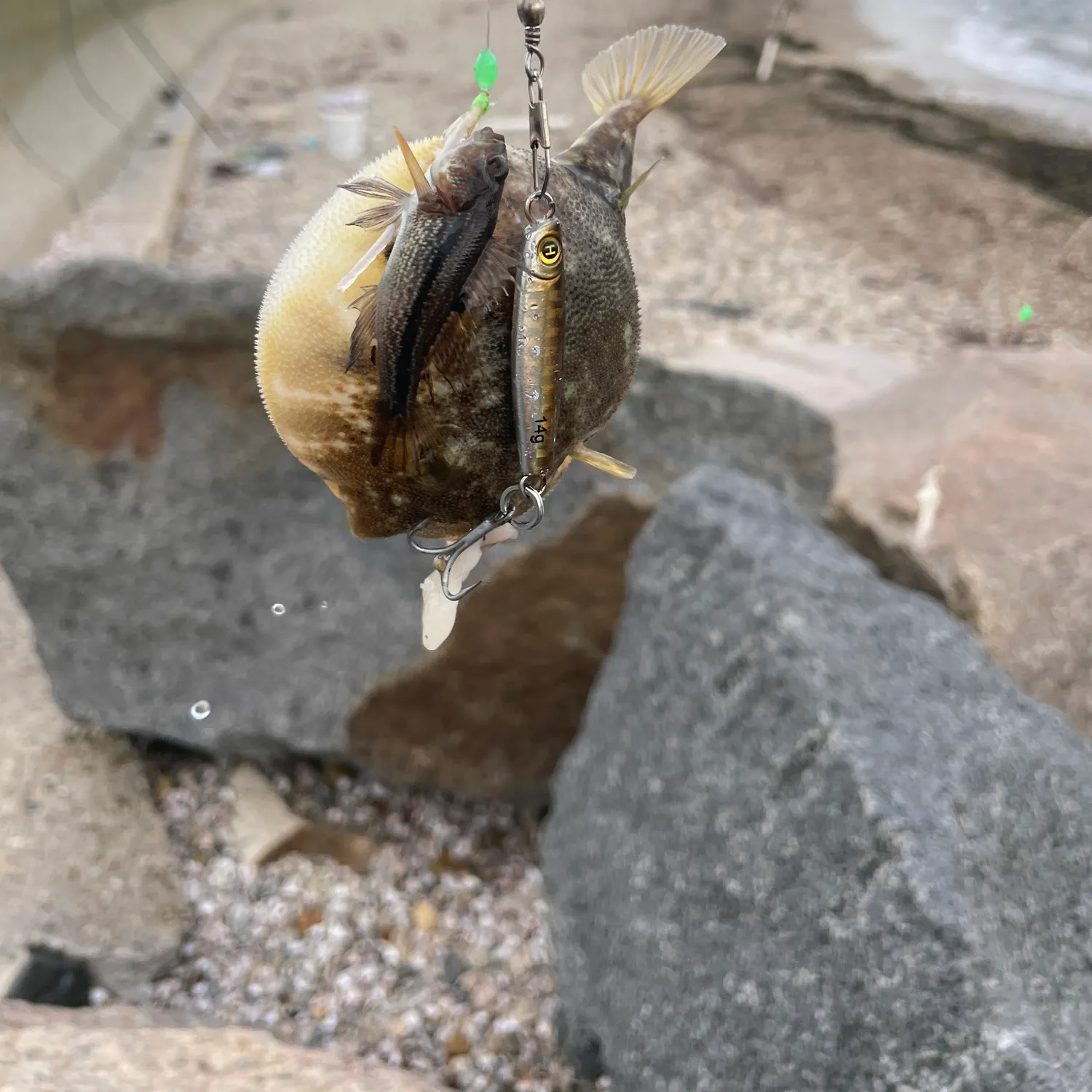 catch