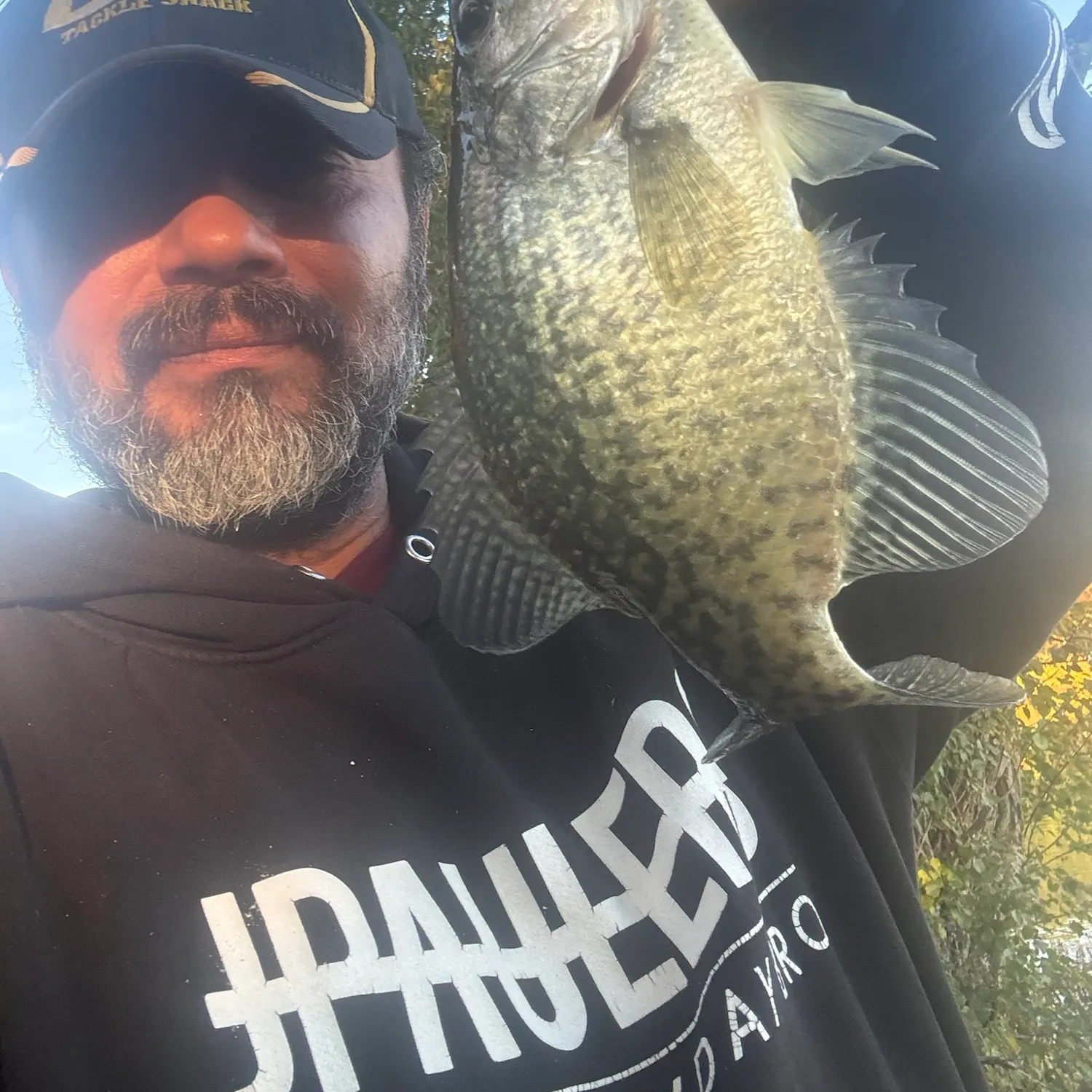Black crappie caught on Fishbrain
