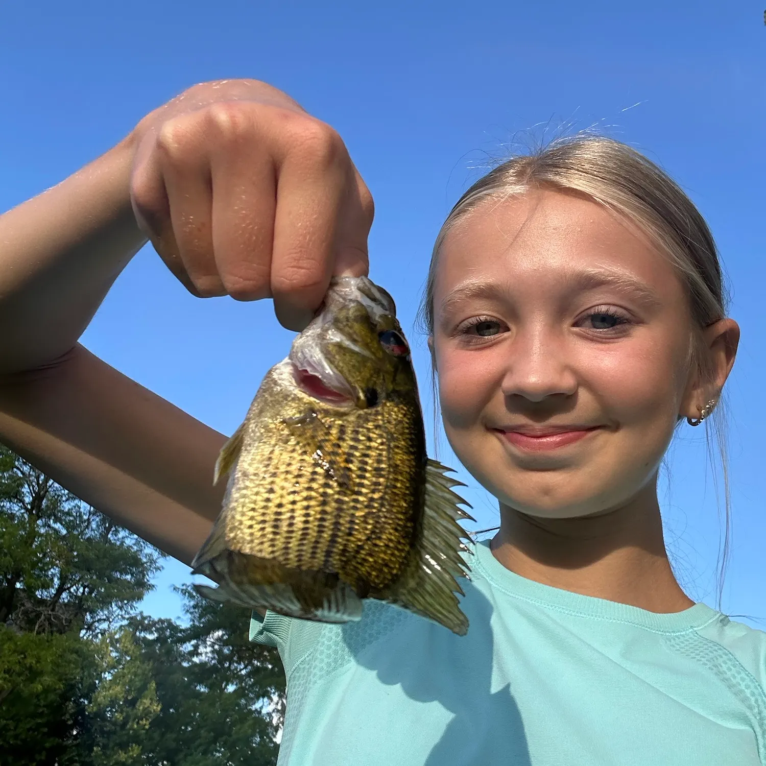 The most recent Rock bass catches on Fishbrain