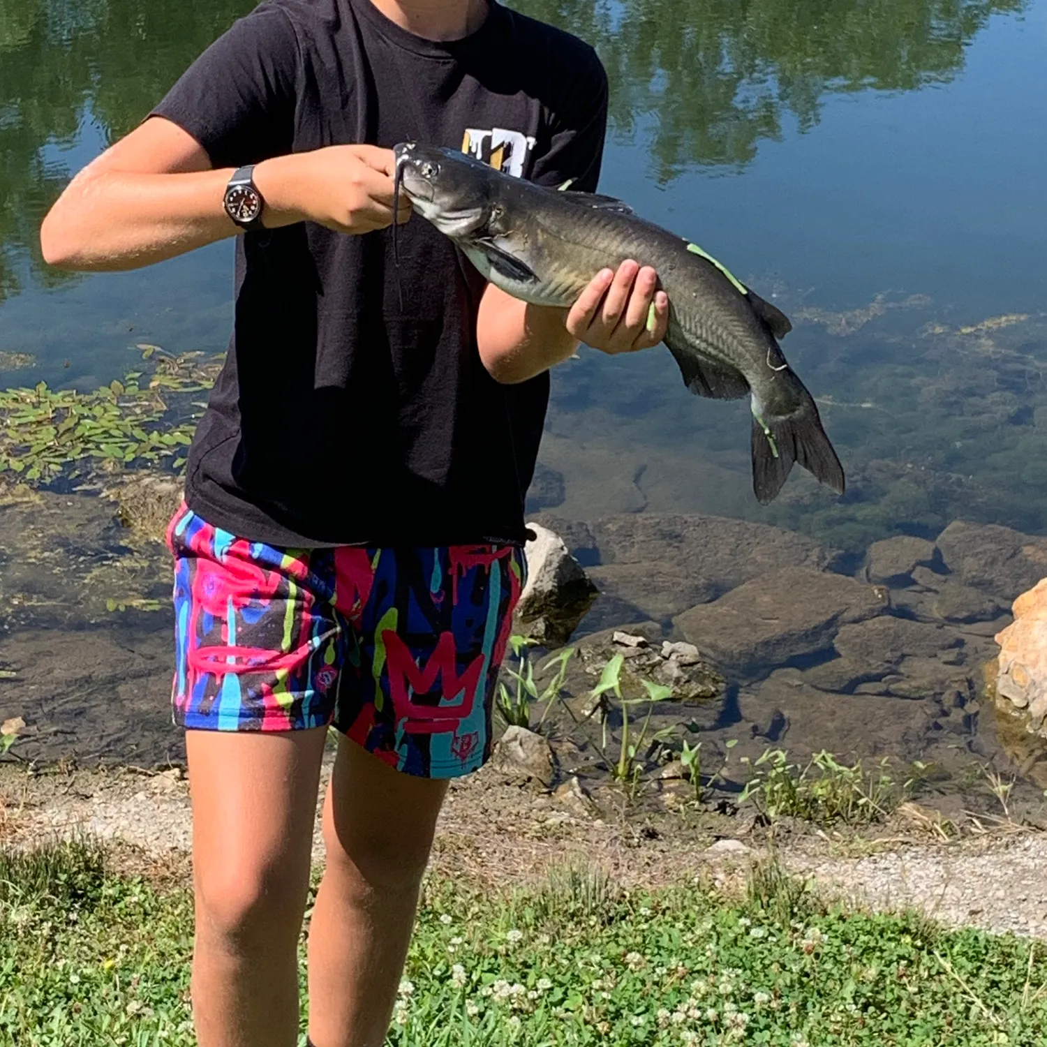 catch