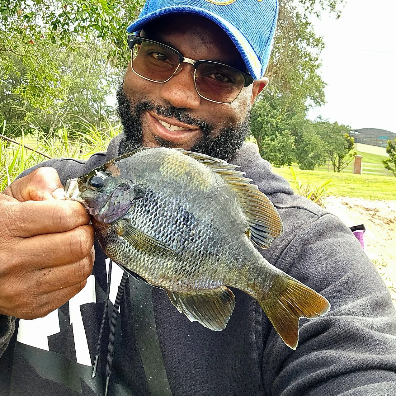 The most recent Coppernose bluegill catches on Fishbrain
