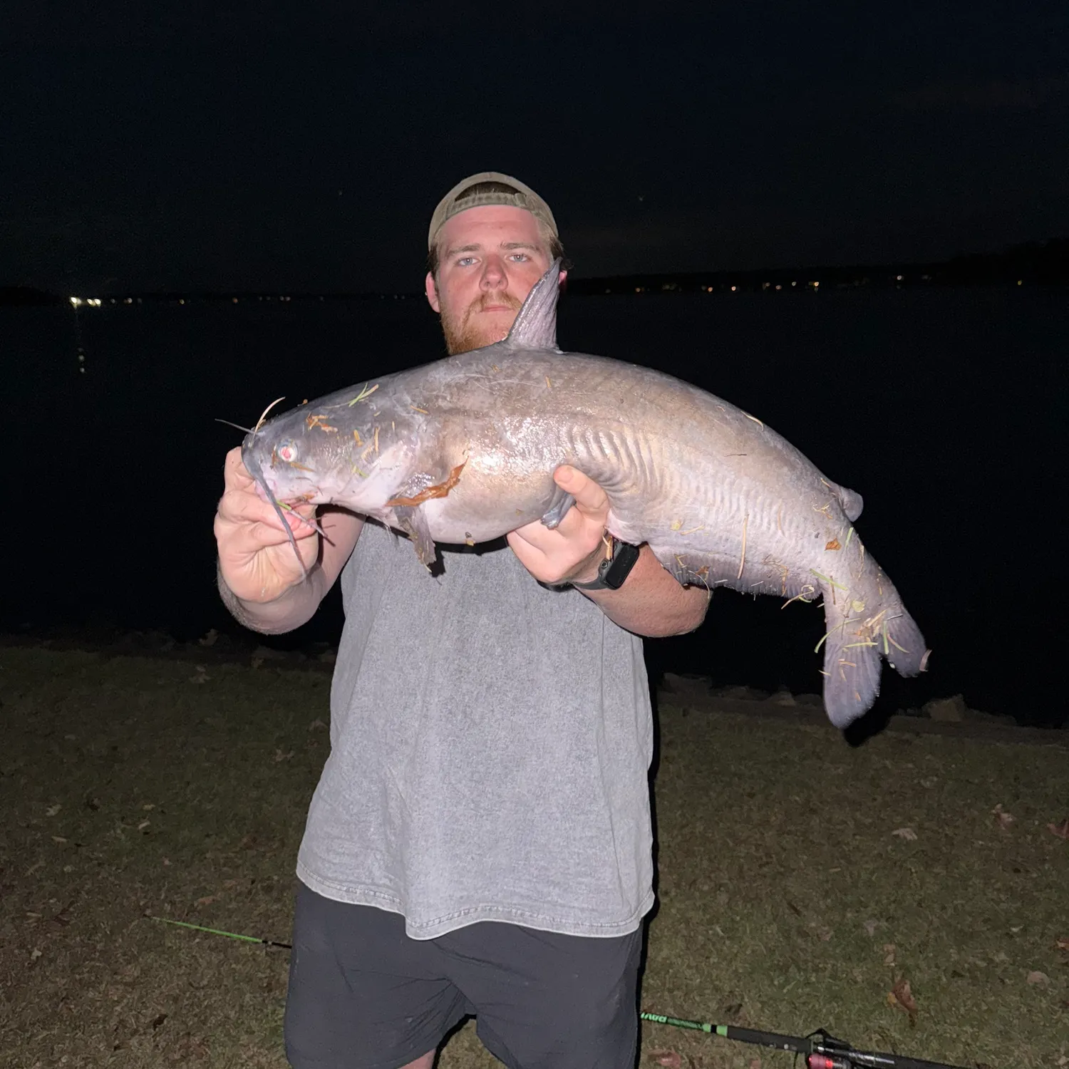 Blue catfish caught on Fishbrain