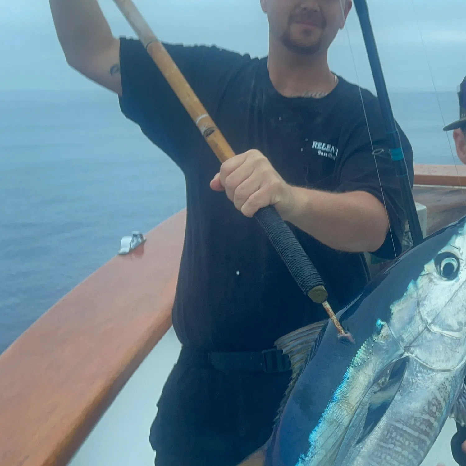 The most recent Atlantic bluefin tuna catches on Fishbrain