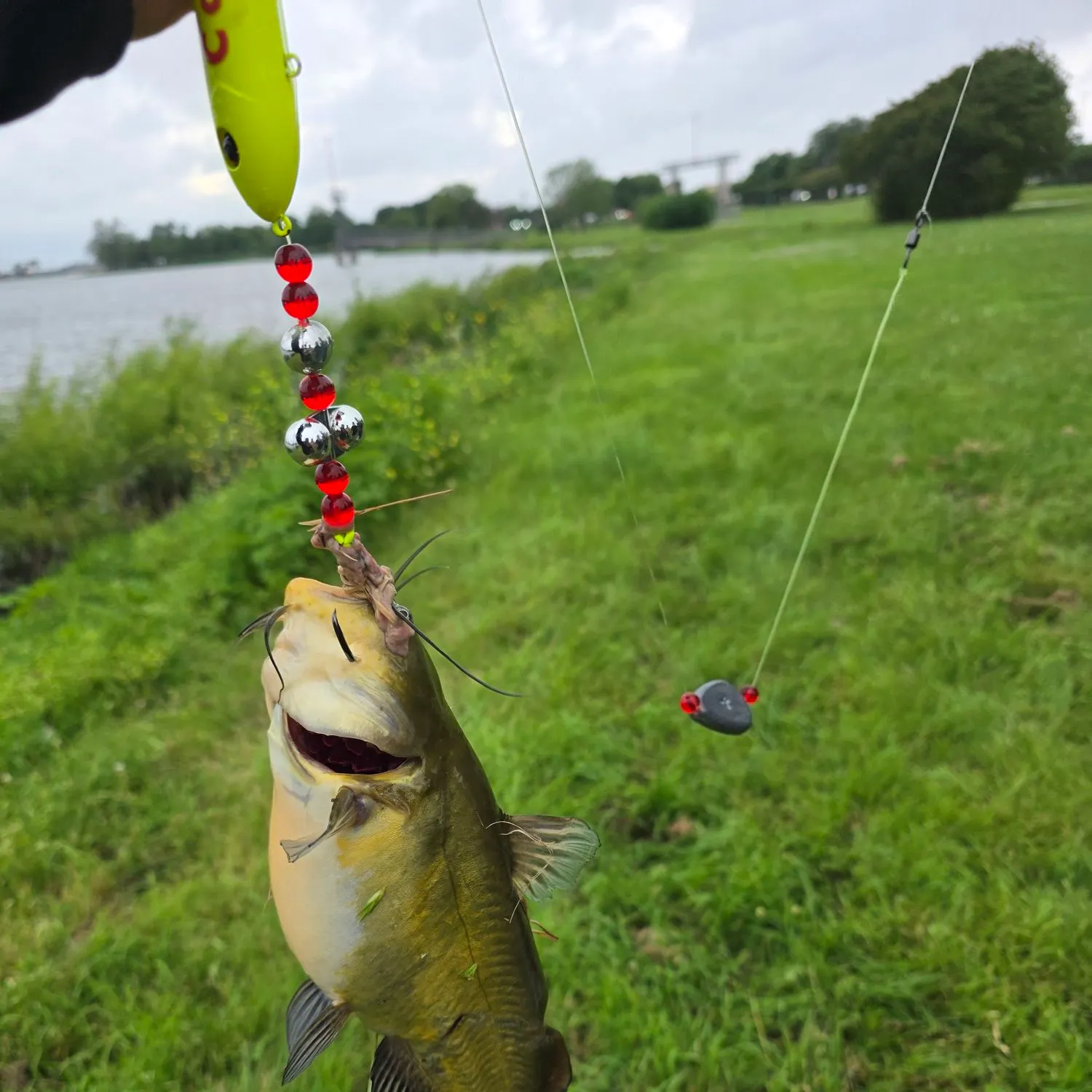 catch