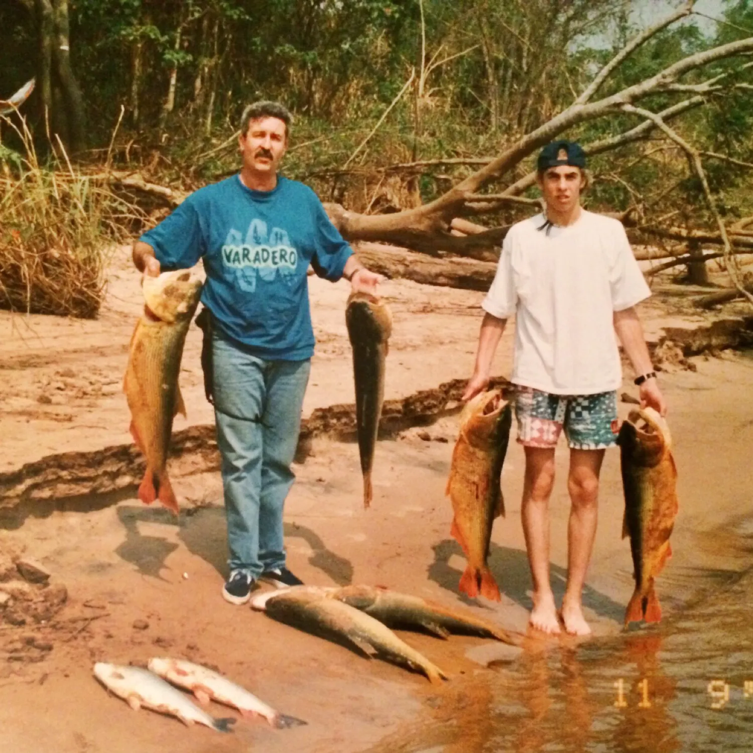 recently logged catches