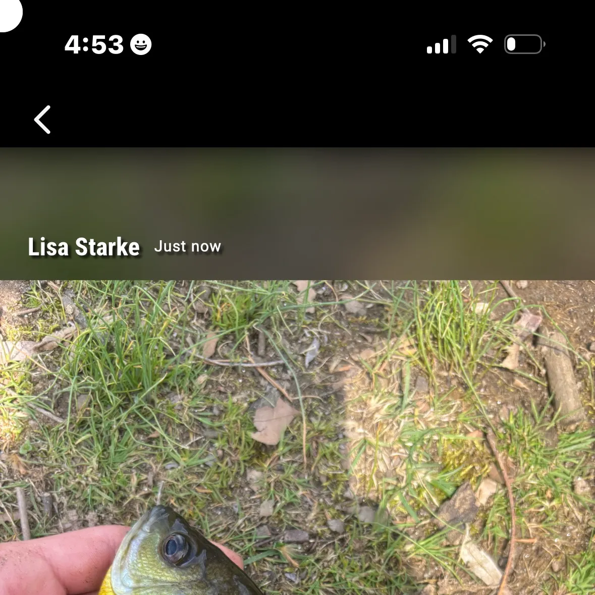 recently logged catches