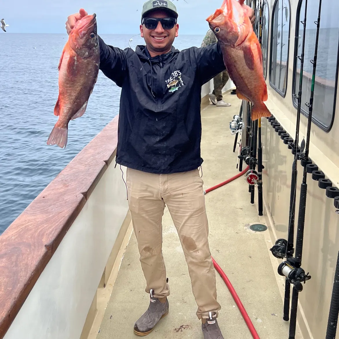 The most recent Bocaccio rockfish catches on Fishbrain