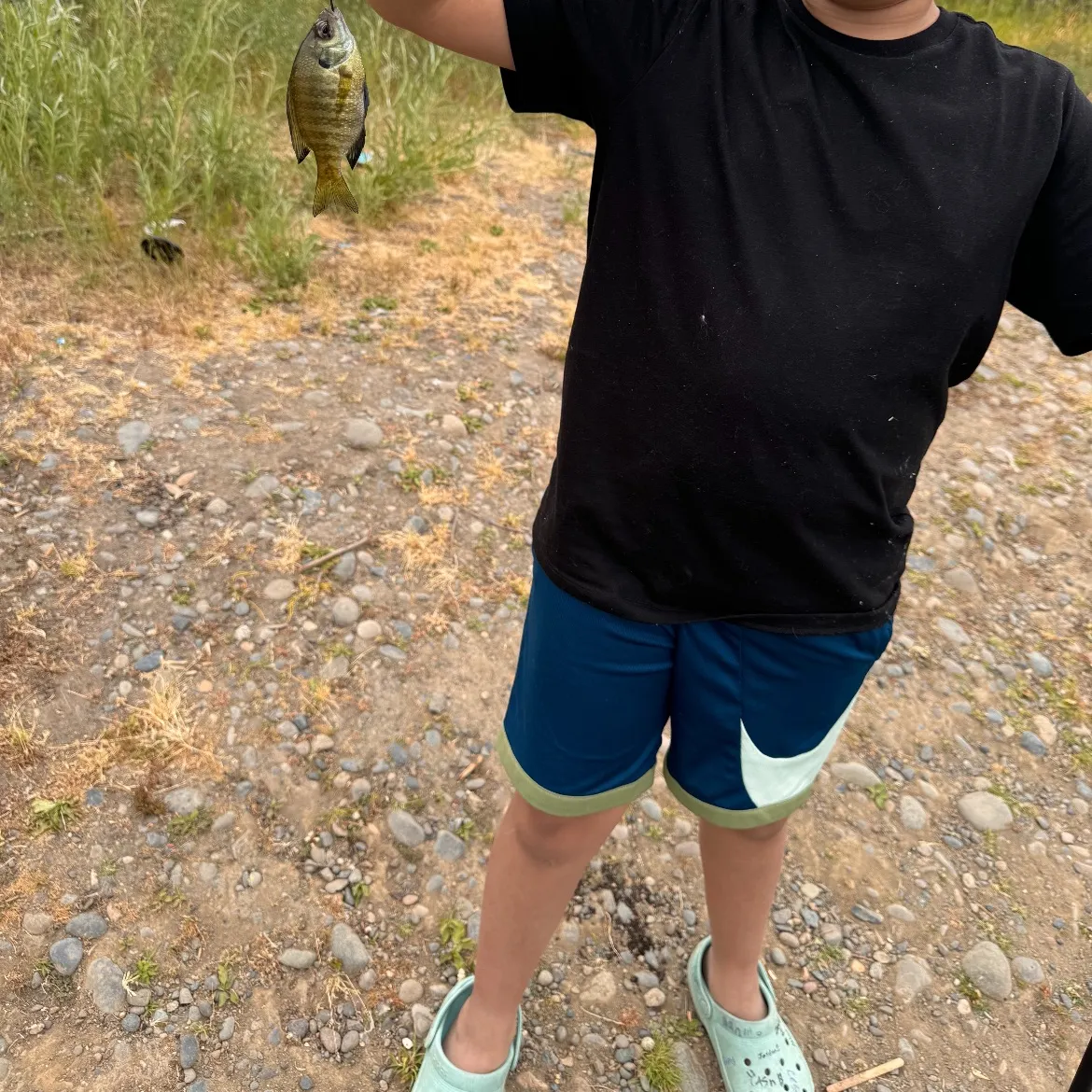 angler catch