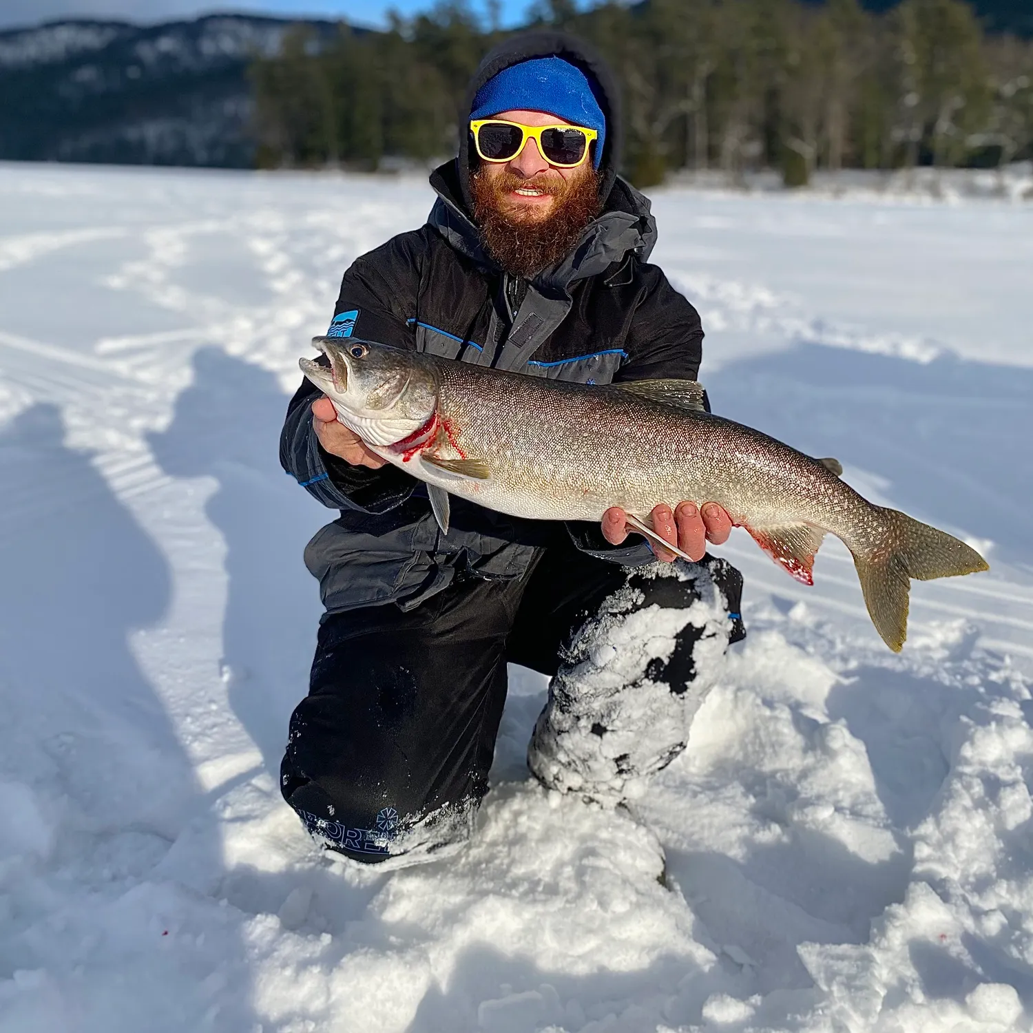 The most recent Lake char catches on Fishbrain