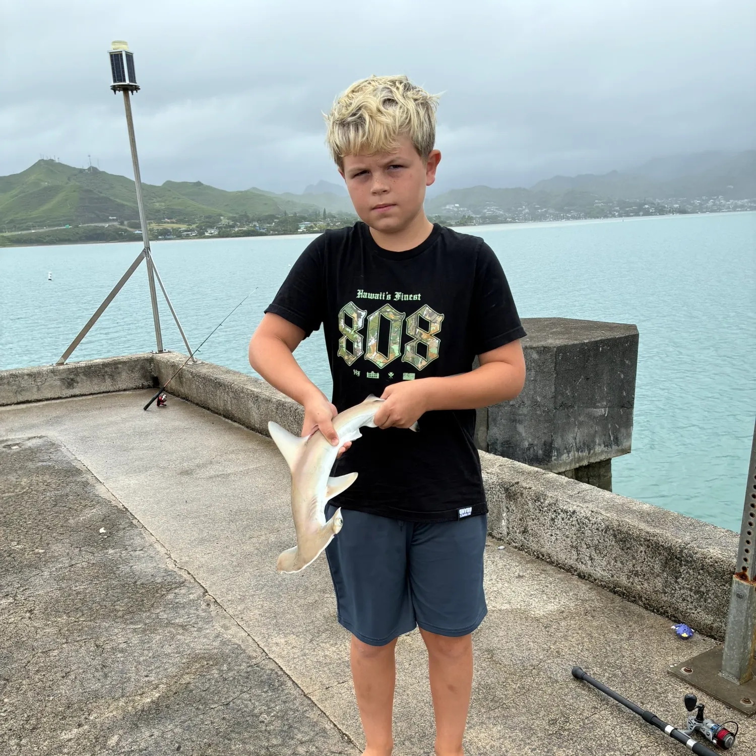 Scalloped hammerhead shark caught on Fishbrain