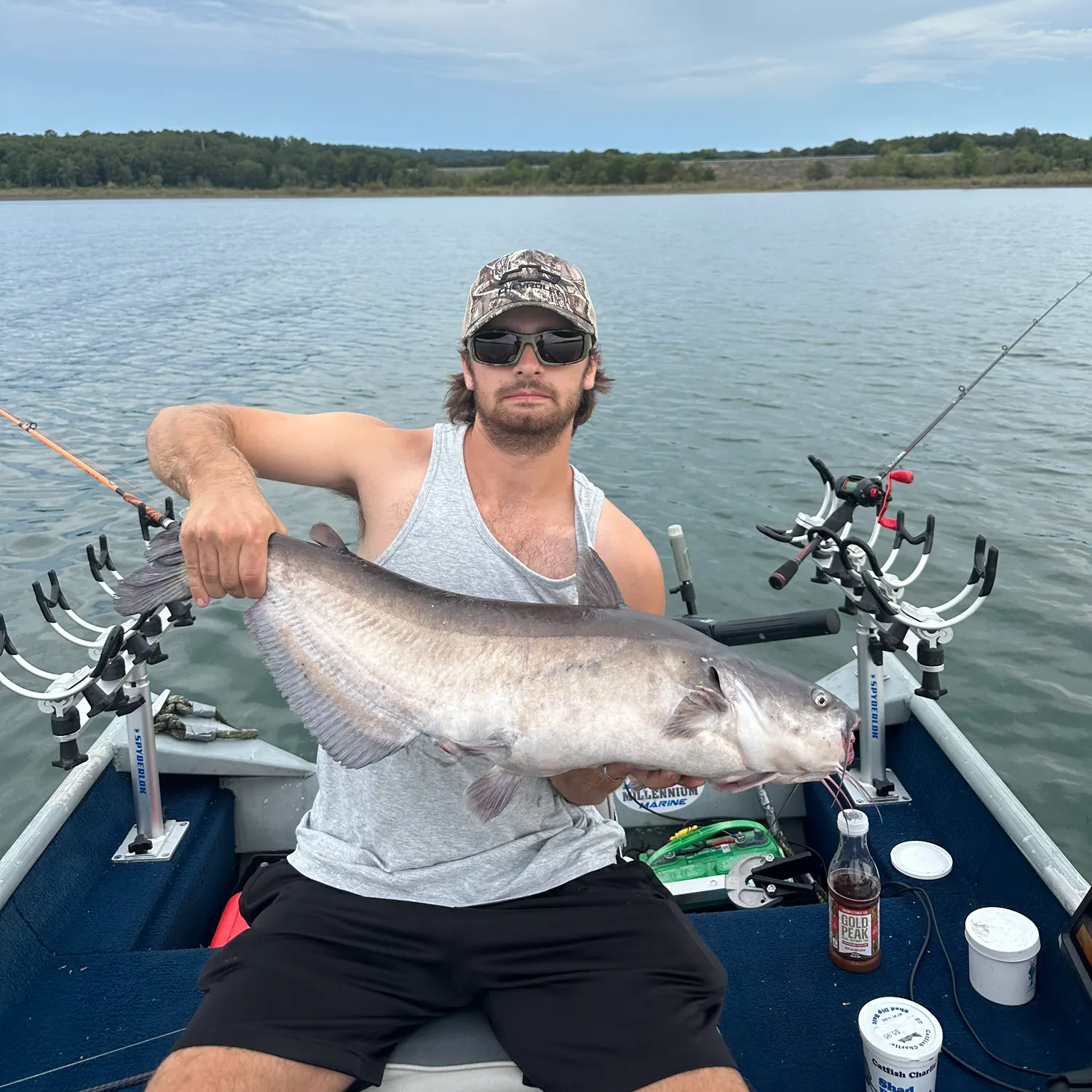 Blue catfish caught on Fishbrain