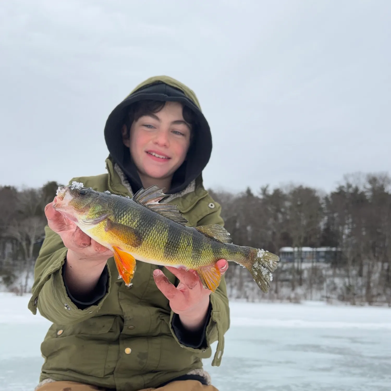 The most recent Black crappie catches on Fishbrain