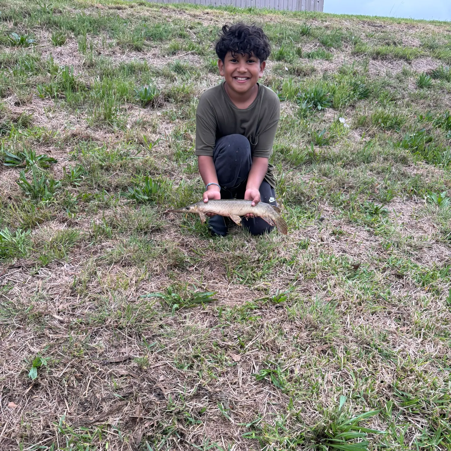 The most recent Shortnose gar catches on Fishbrain