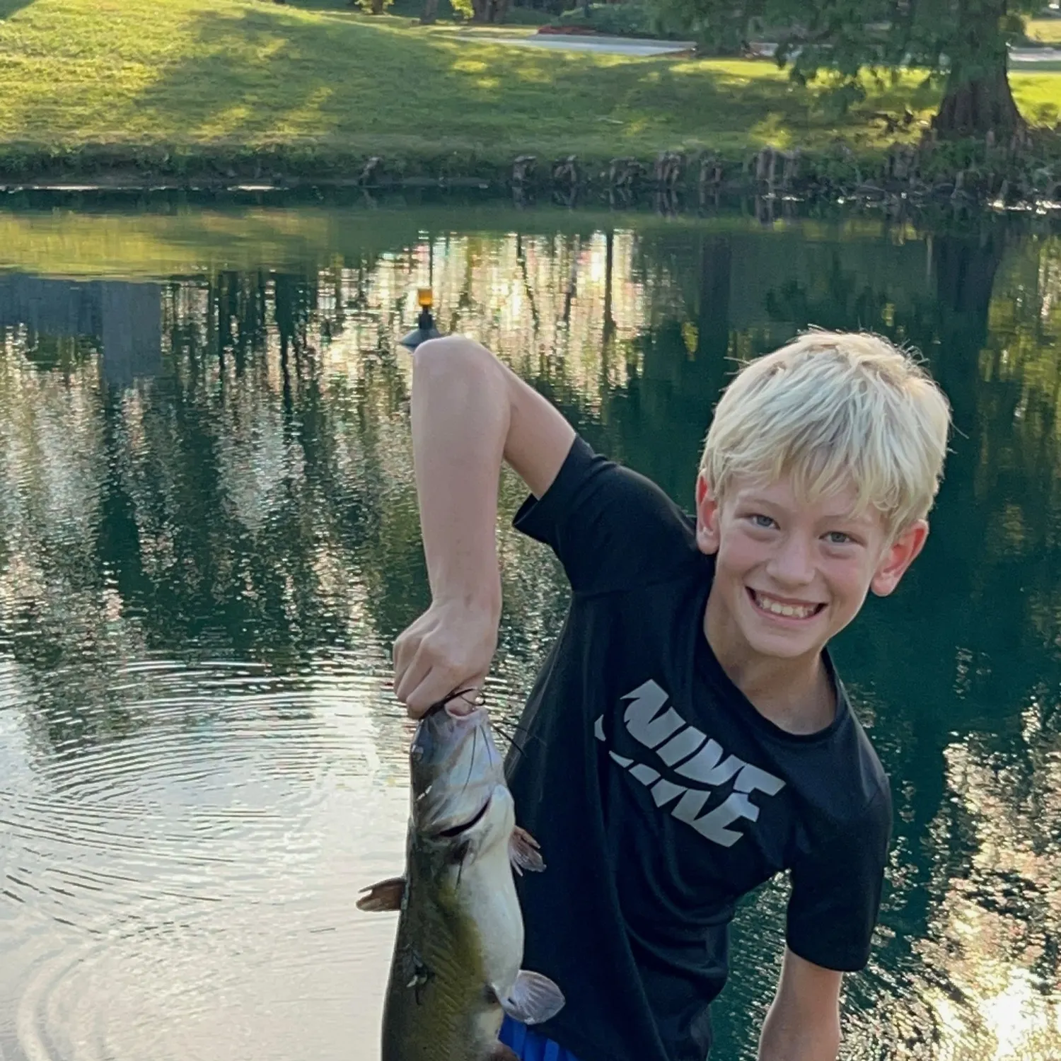 Channel catfish caught on Fishbrain