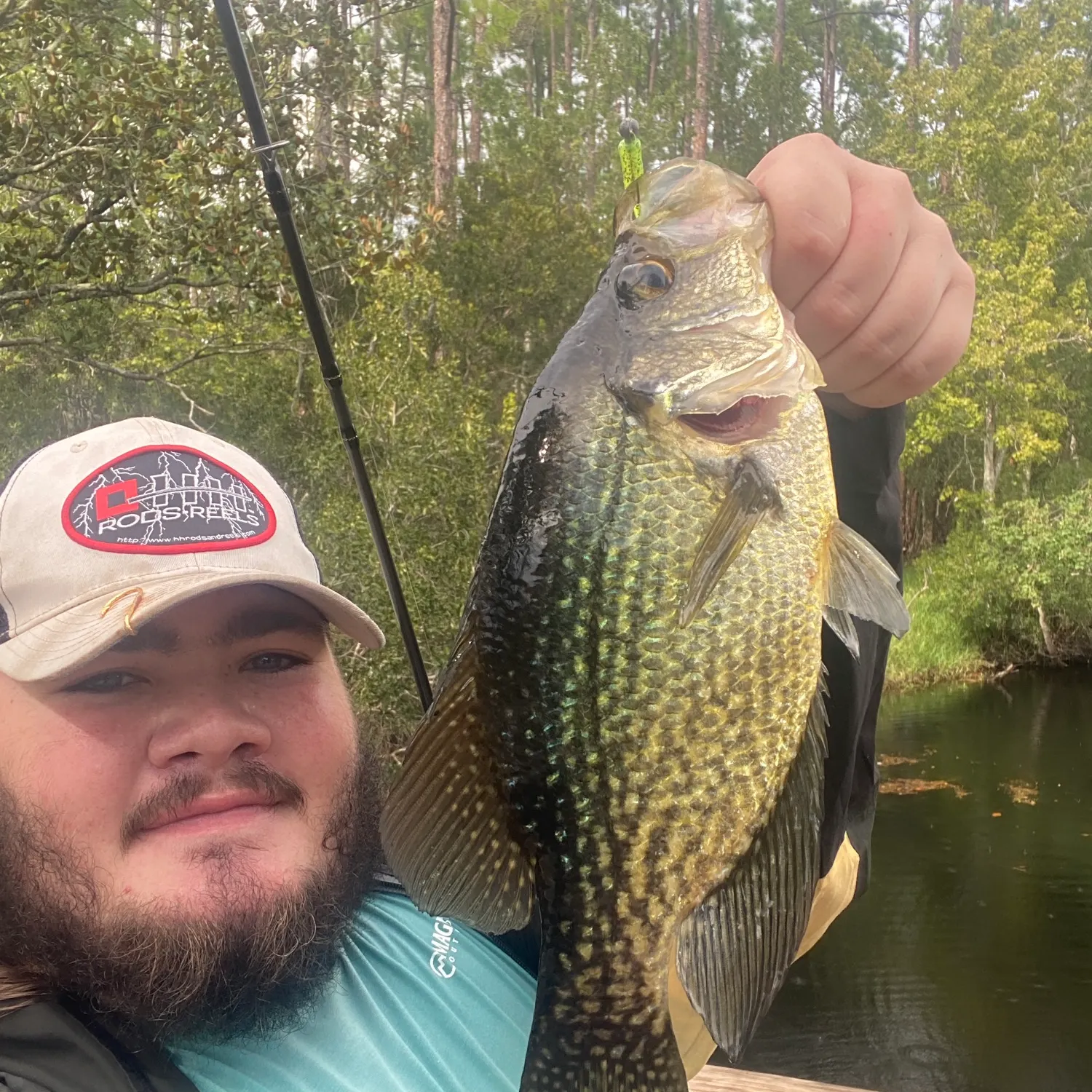 Black crappie caught on Fishbrain