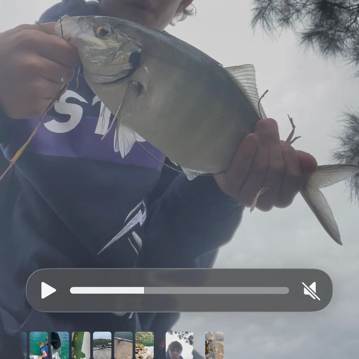 White trevally caught on Fishbrain