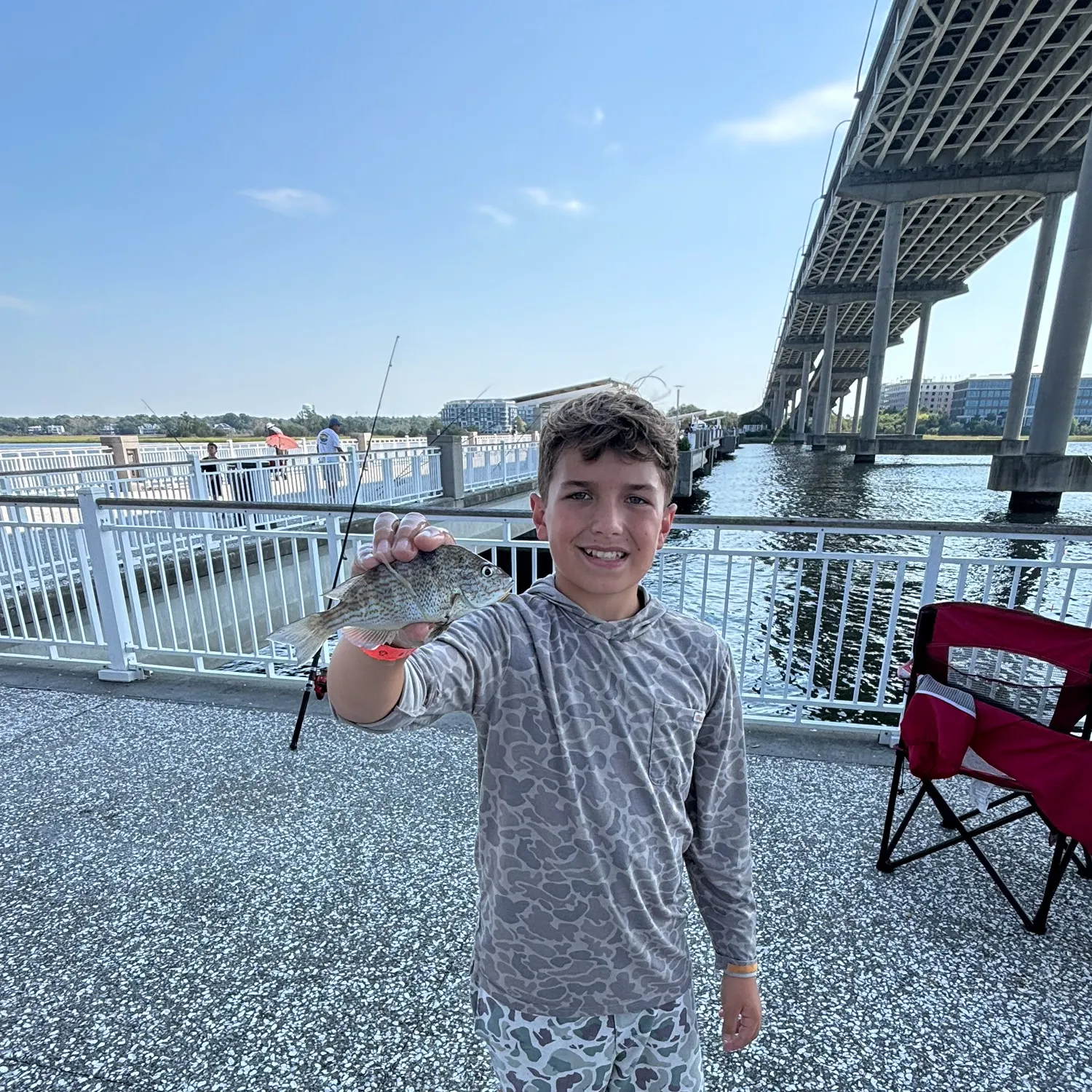 Pigfish caught on Fishbrain