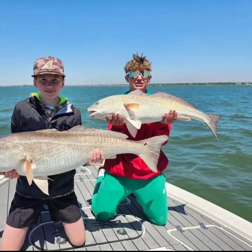 most liked catch image