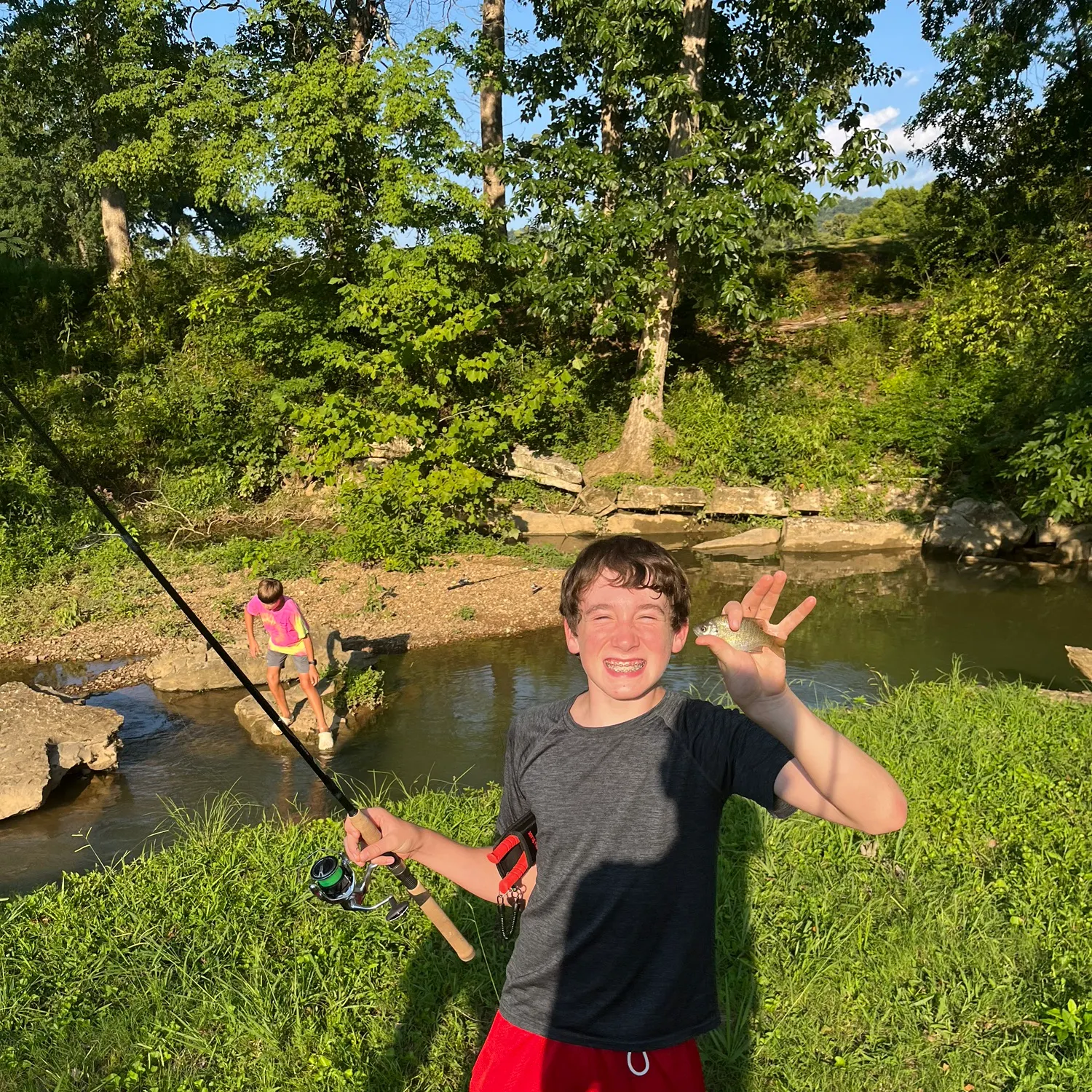 Bluegill caught on Fishbrain