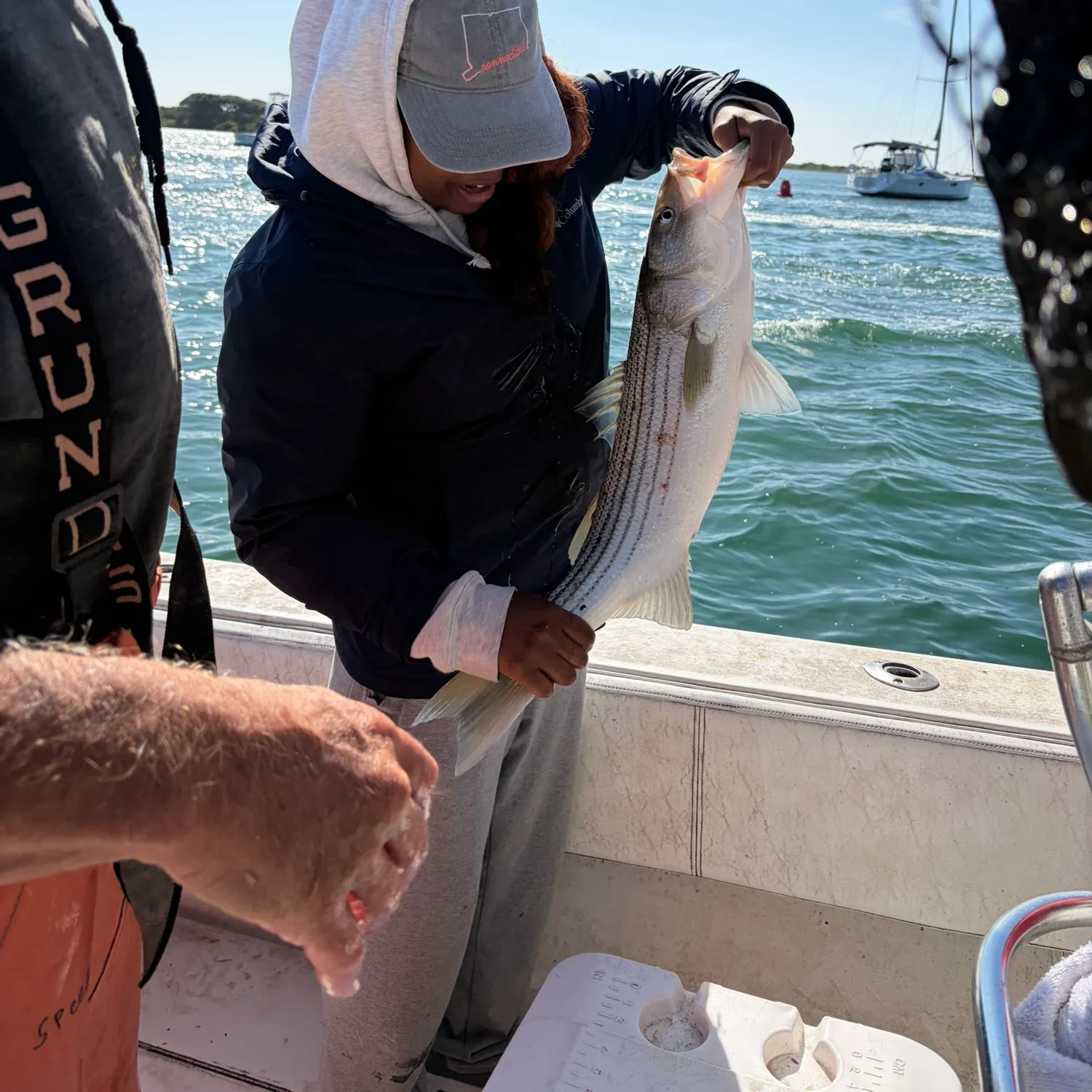 Striped bass caught on Fishbrain