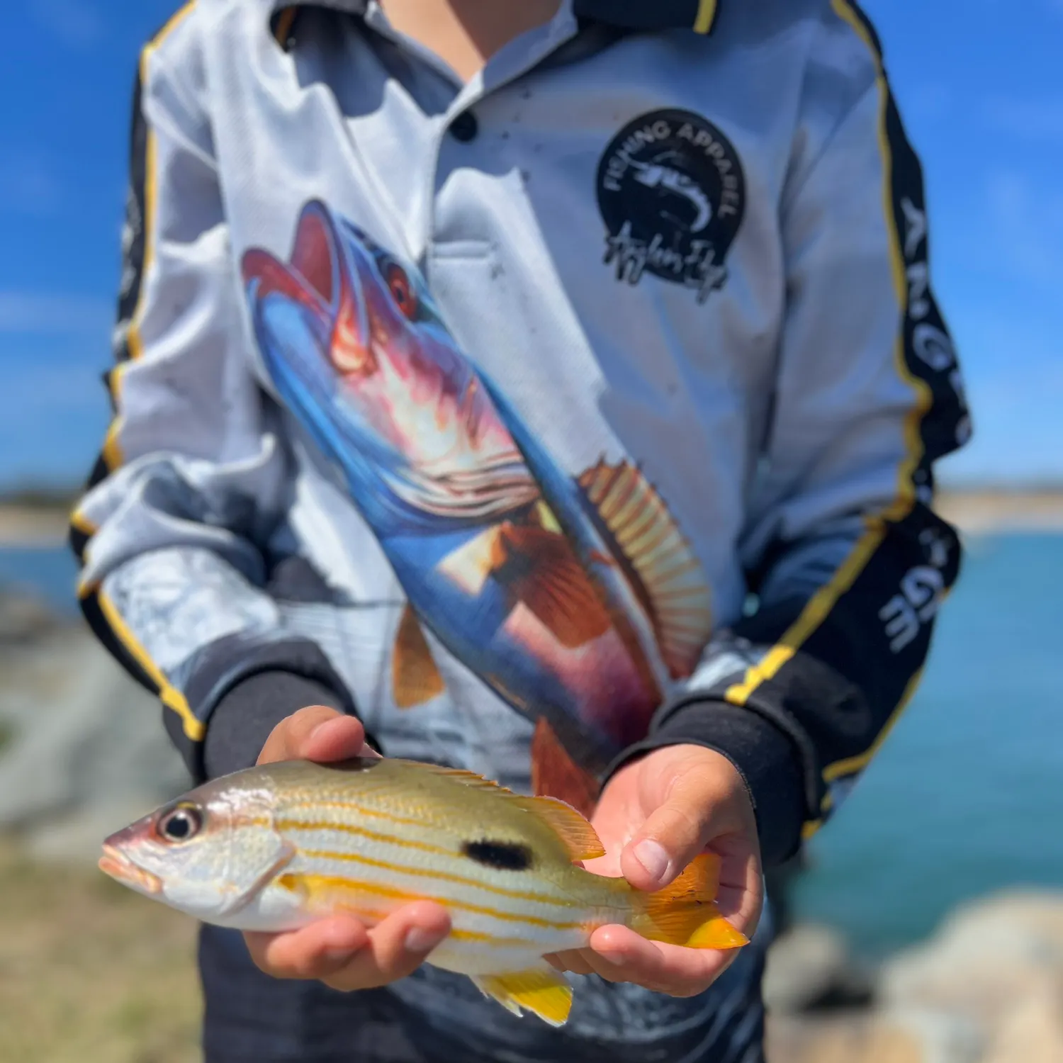 The most recent Dory snapper catches on Fishbrain