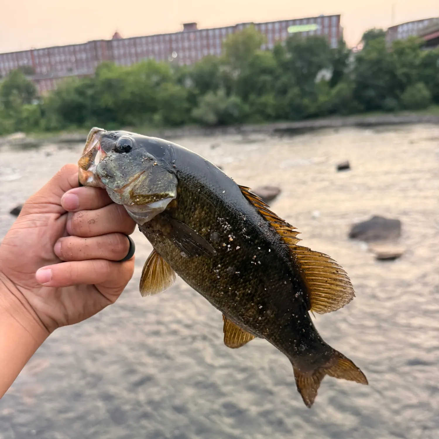 catch