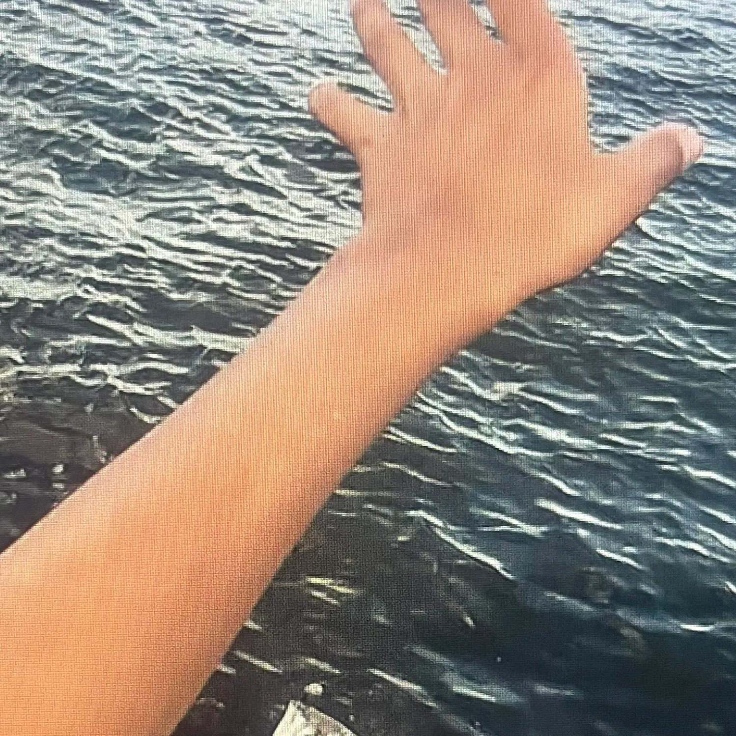 The most recent Common silver belly catches on Fishbrain