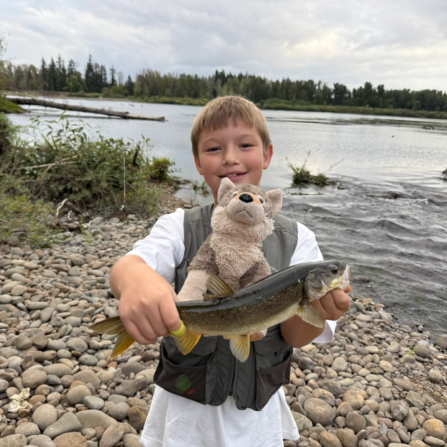 Northern pikeminnow caught on Fishbrain