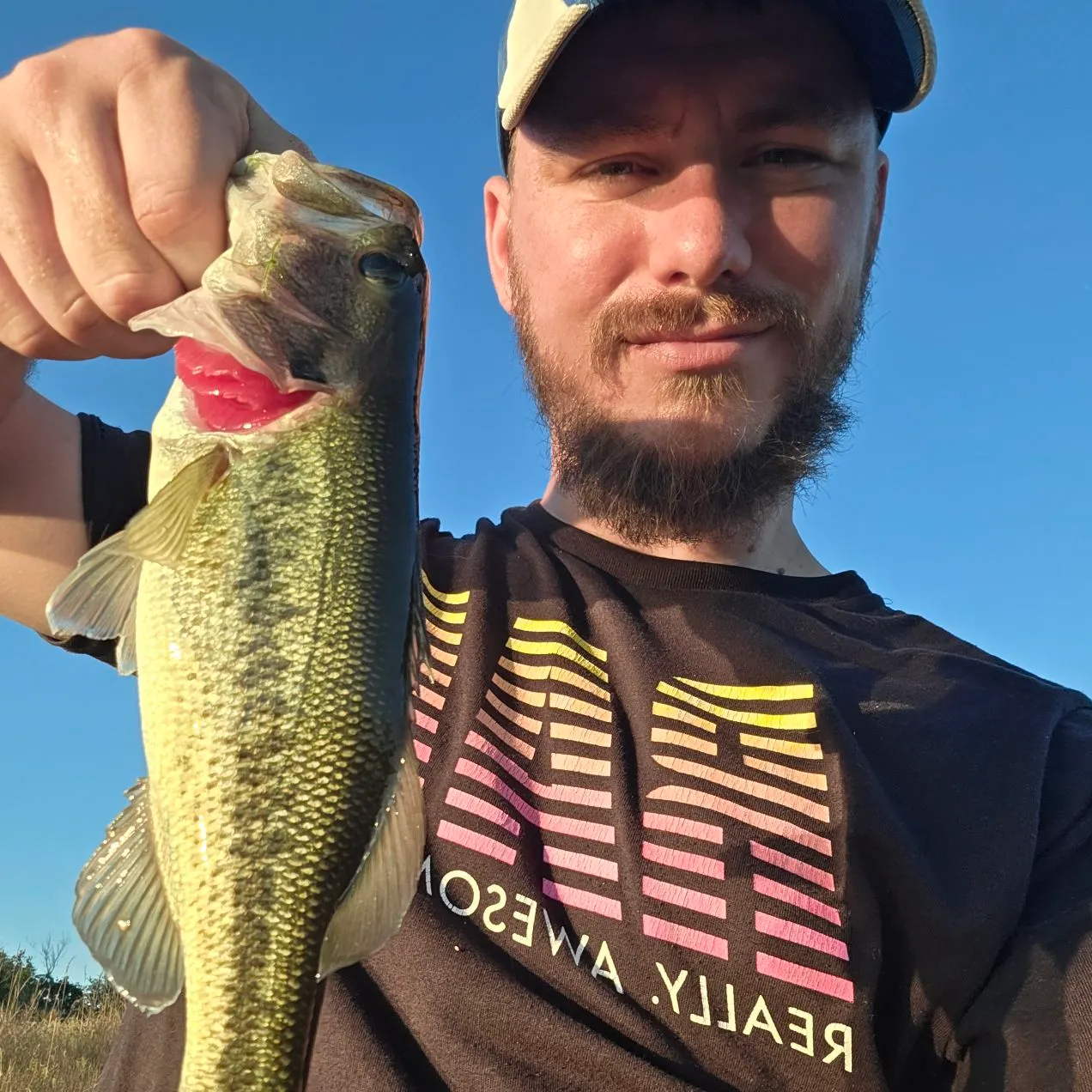 Largemouth bass caught on Fishbrain